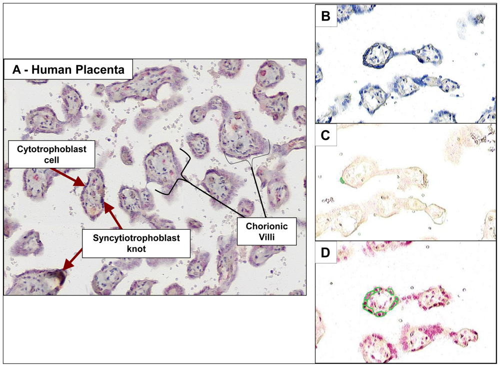 Ijerph 08 02675f5 1024
