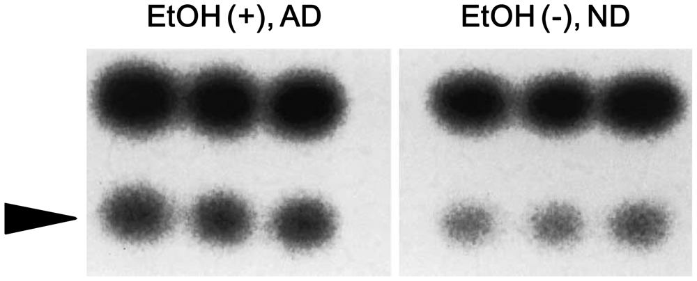 Ijerph 08 02895f4 1024