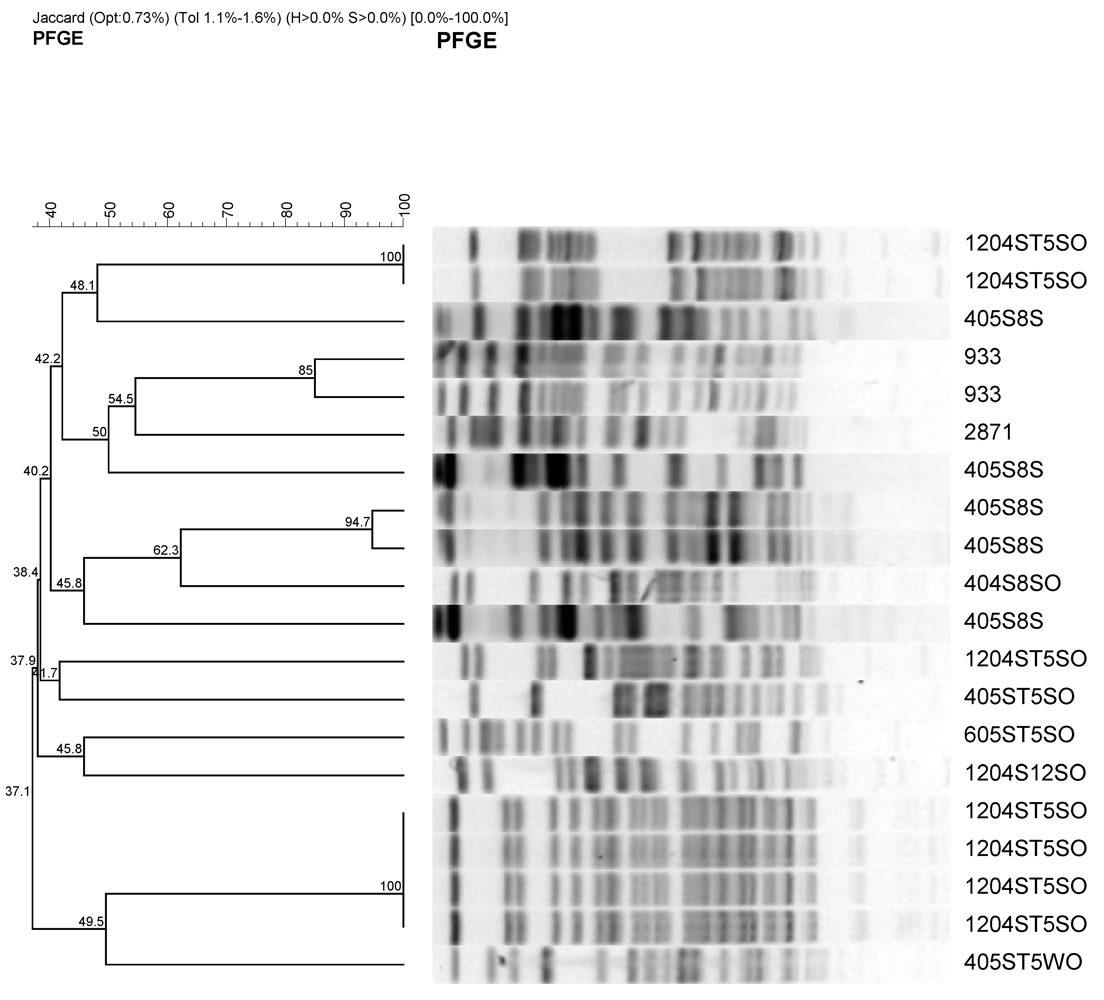 Ijerph 08 04460 g003 1024