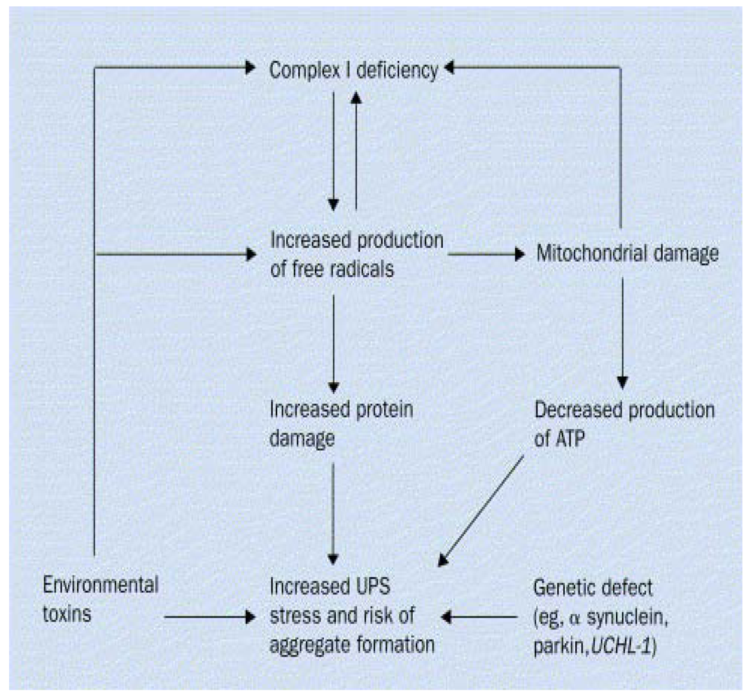 Ijerph 08 04702 g001 1024