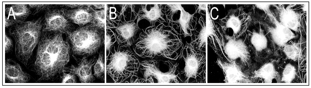 Ijerph 09 00474 g001 1024