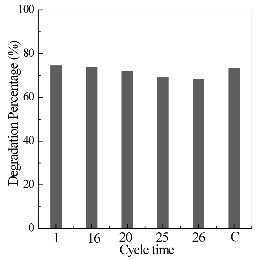 Ijerph 09 00548 g011 1024