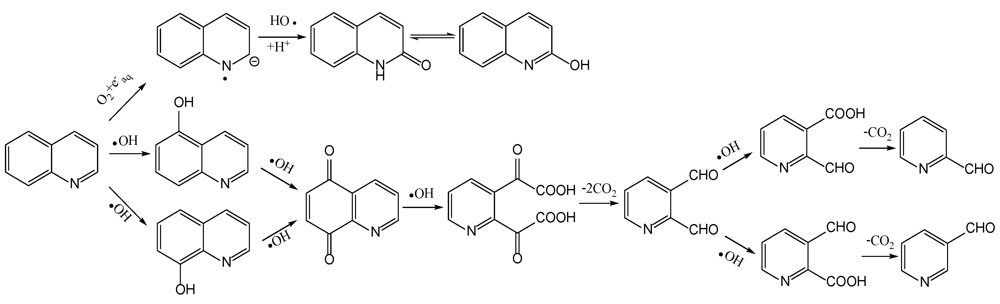 Ijerph 09 00548 g012 1024