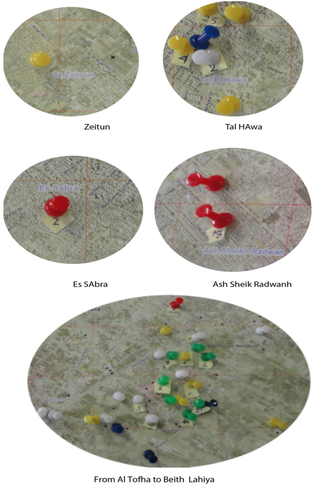 Ijerph 09 01732 g003 1024