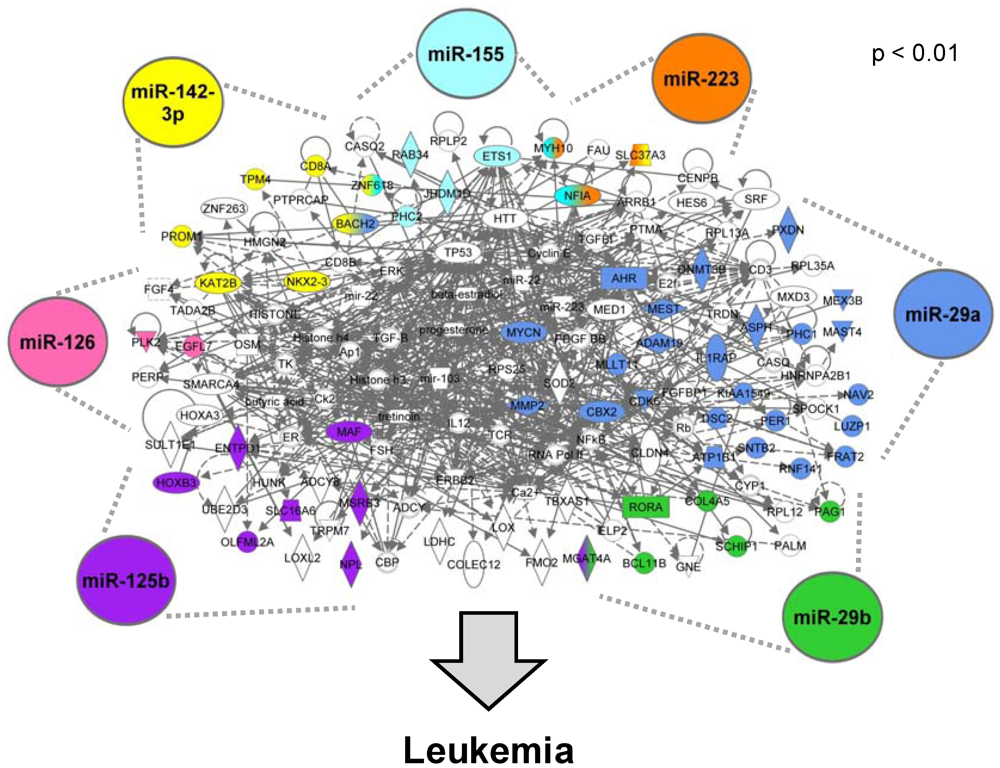 Ijerph 09 01939 g003 1024