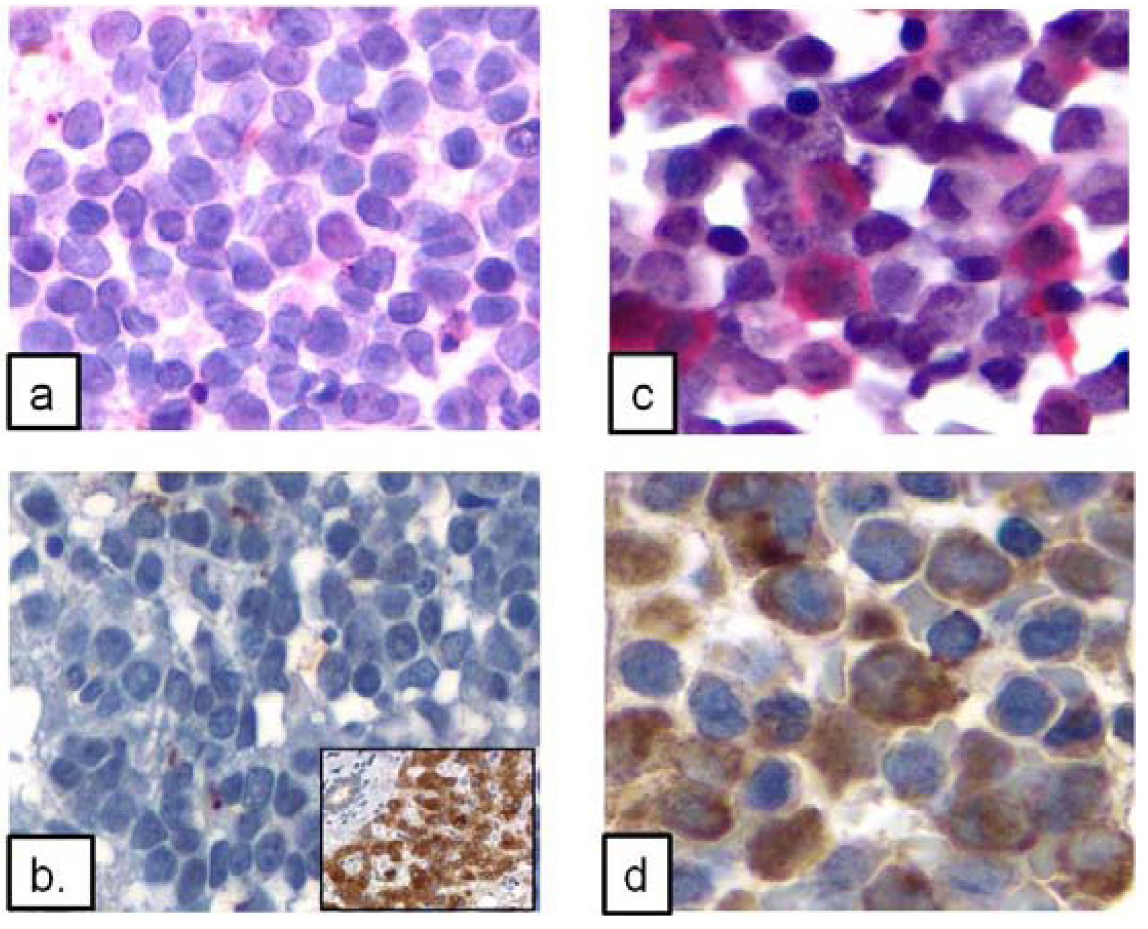 Ijerph 09 02788 g003