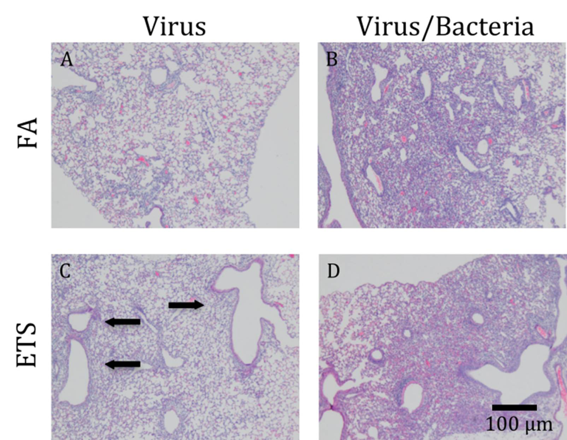 Ijerph 09 03954 g006 1024