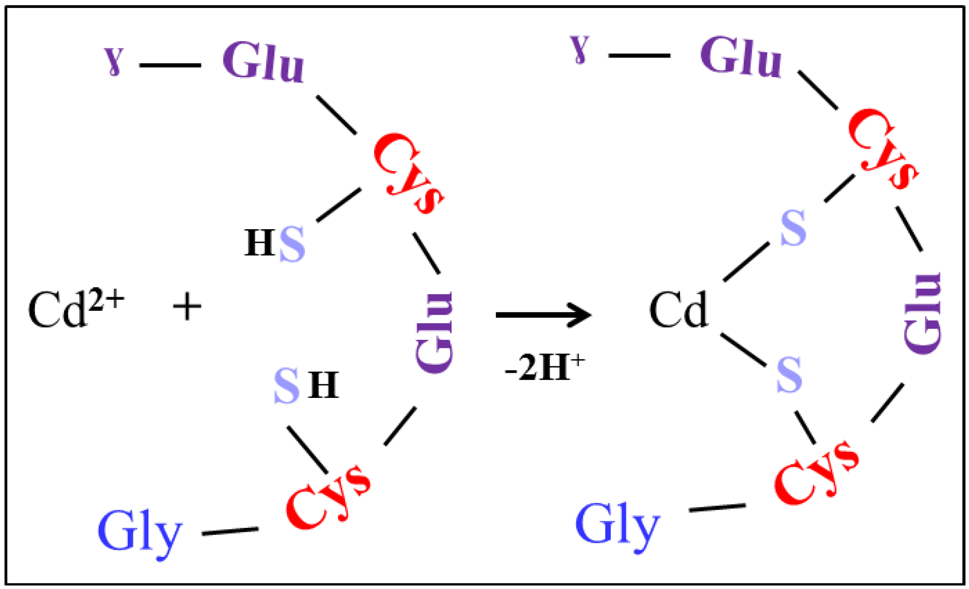 Ijerph 10 01304 g003