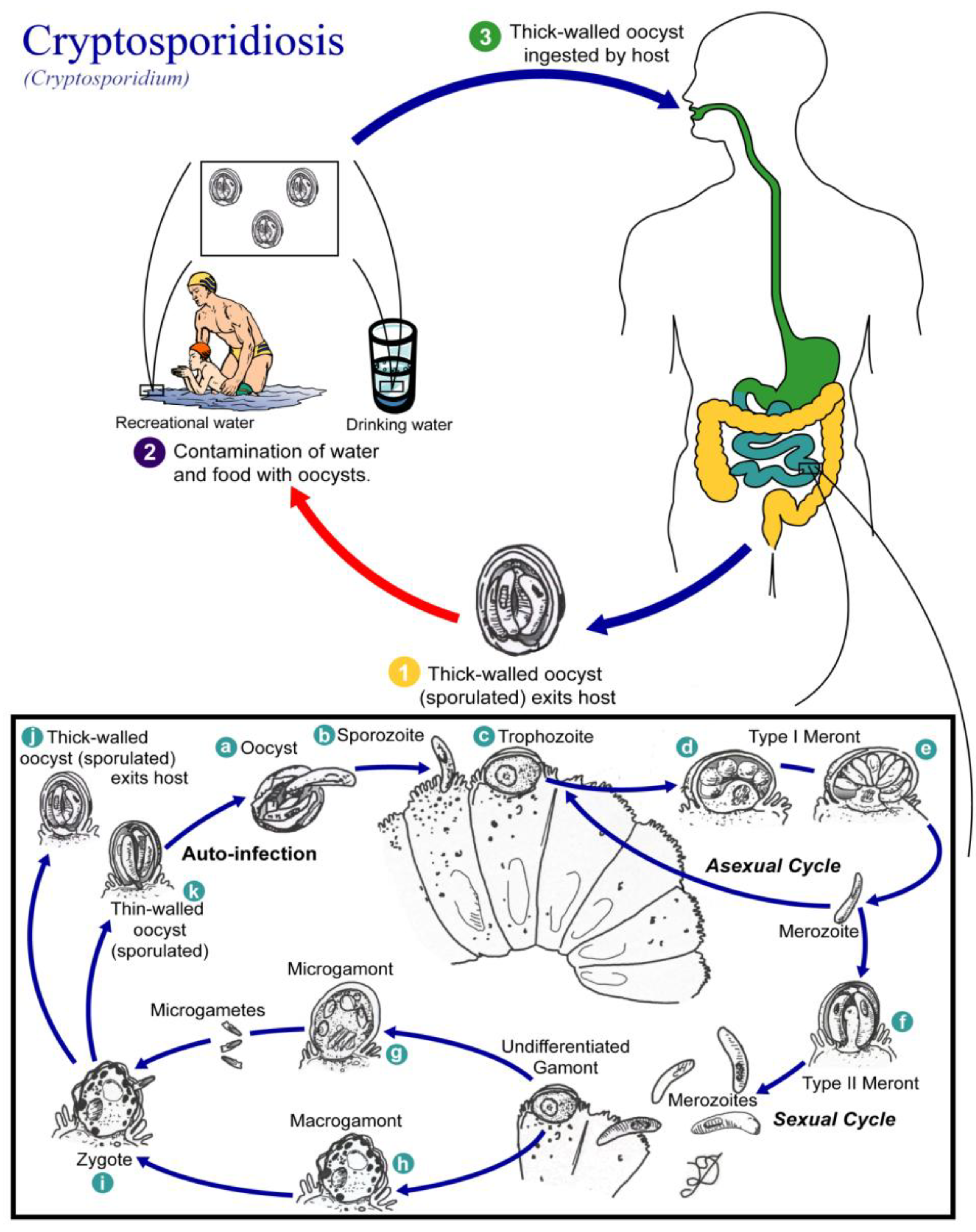 Water-Related Parasitic Diseases in China