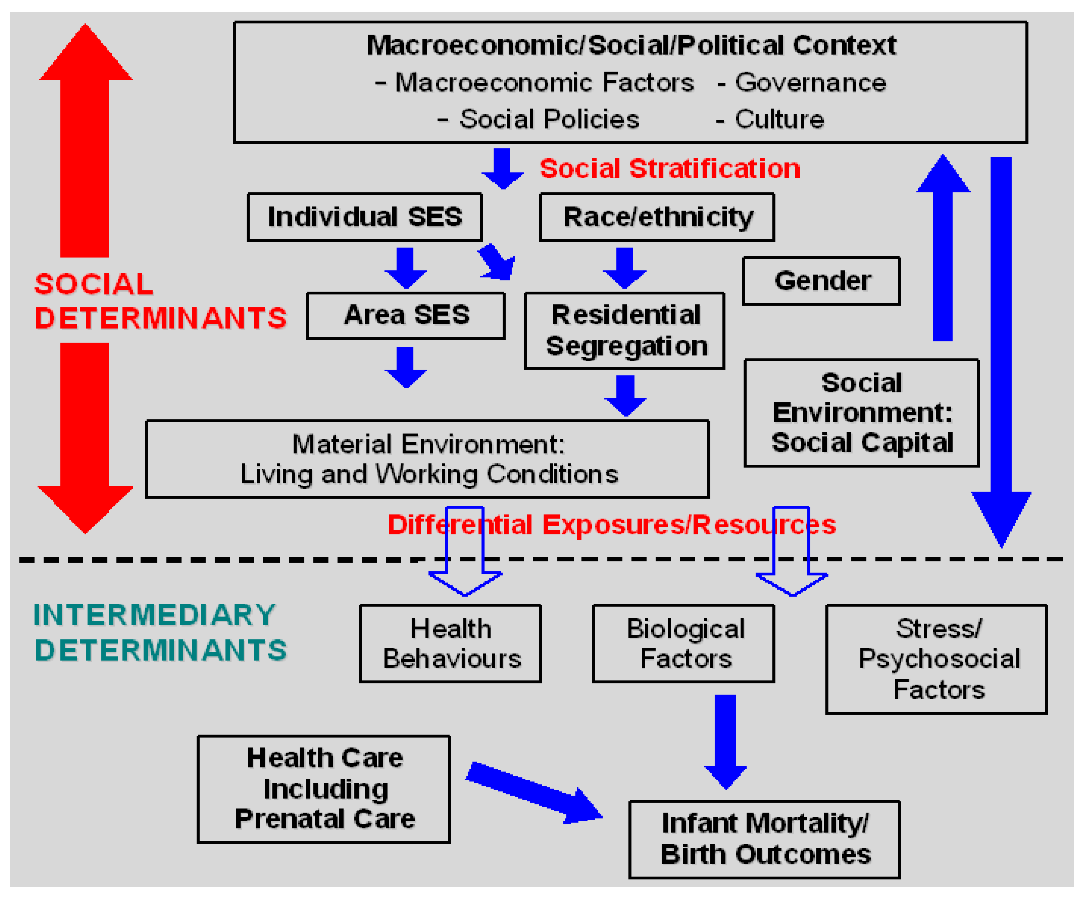 IJERPH | Free Full-Text | The Social Determinants of ... causal diagram ses 