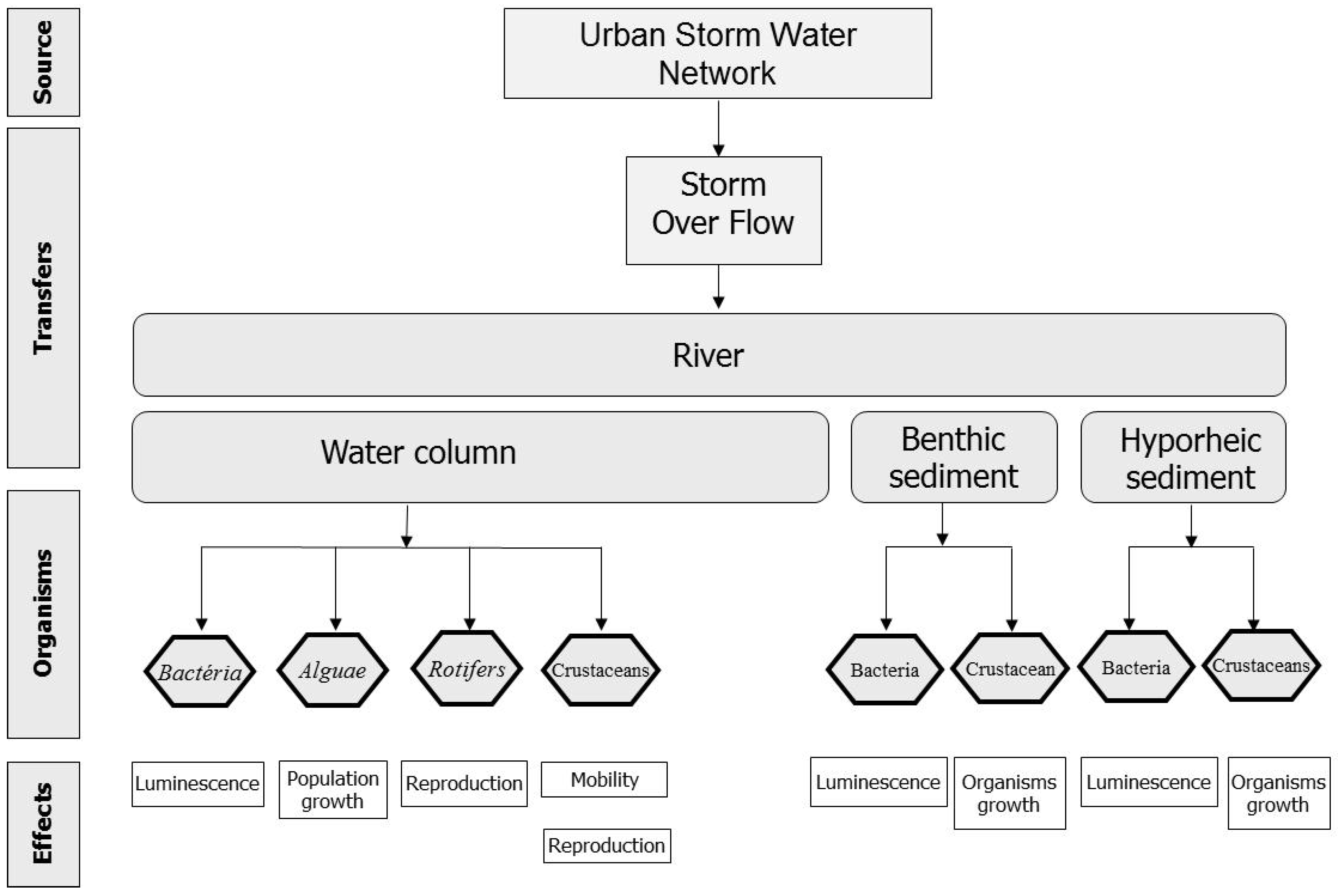 Ijerph 10 02670 g002 1024