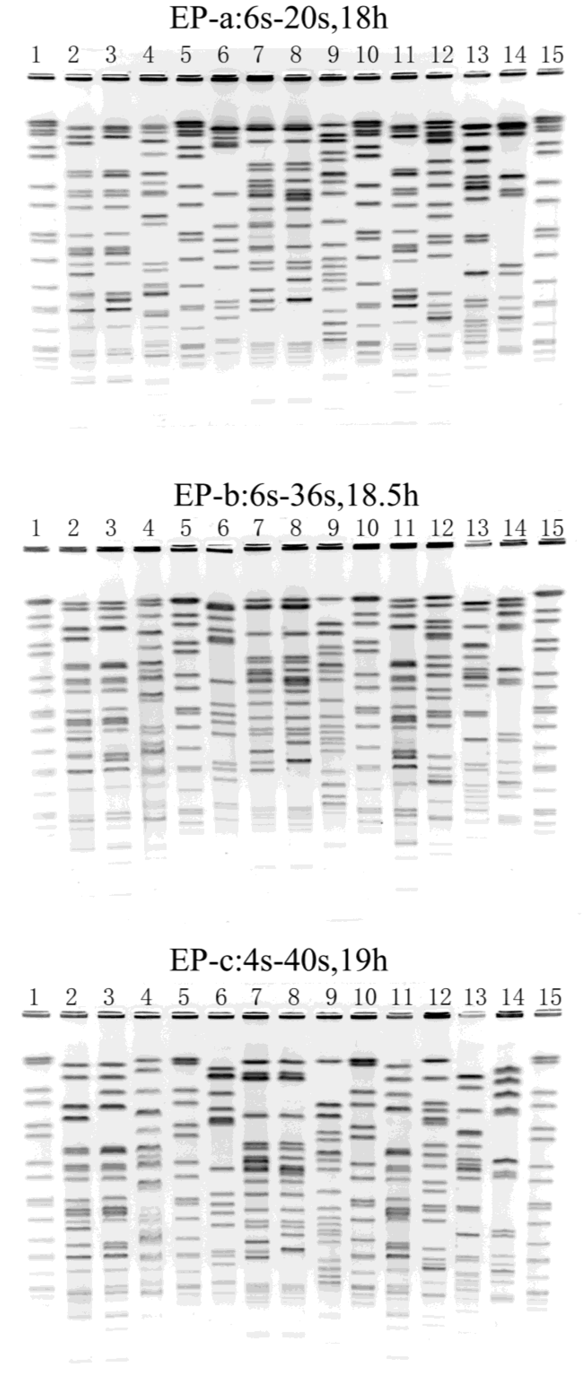 Ijerph 10 02720 g001