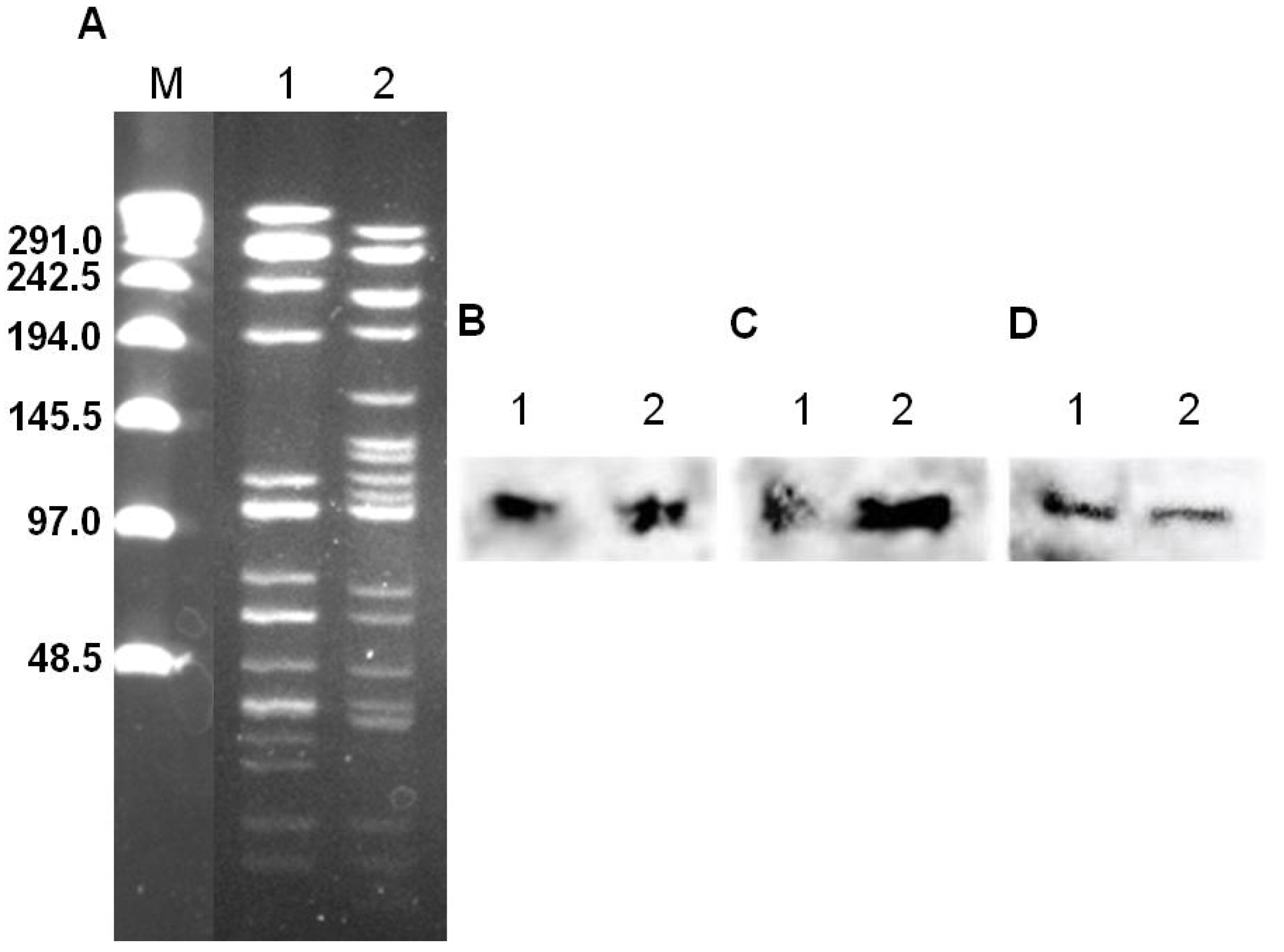 Ijerph 10 04245 g001 1024