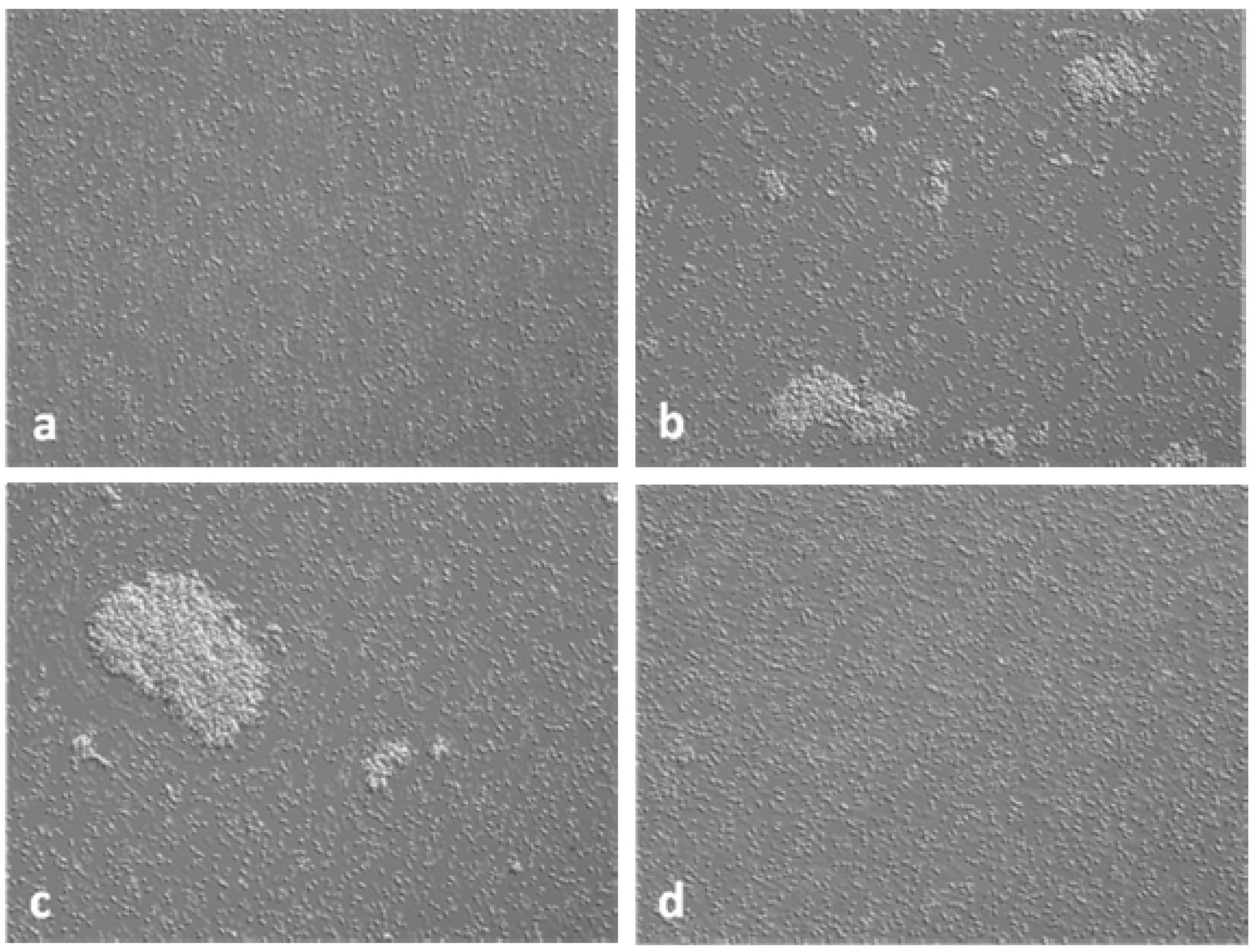 Ijerph 10 04245 g004 1024