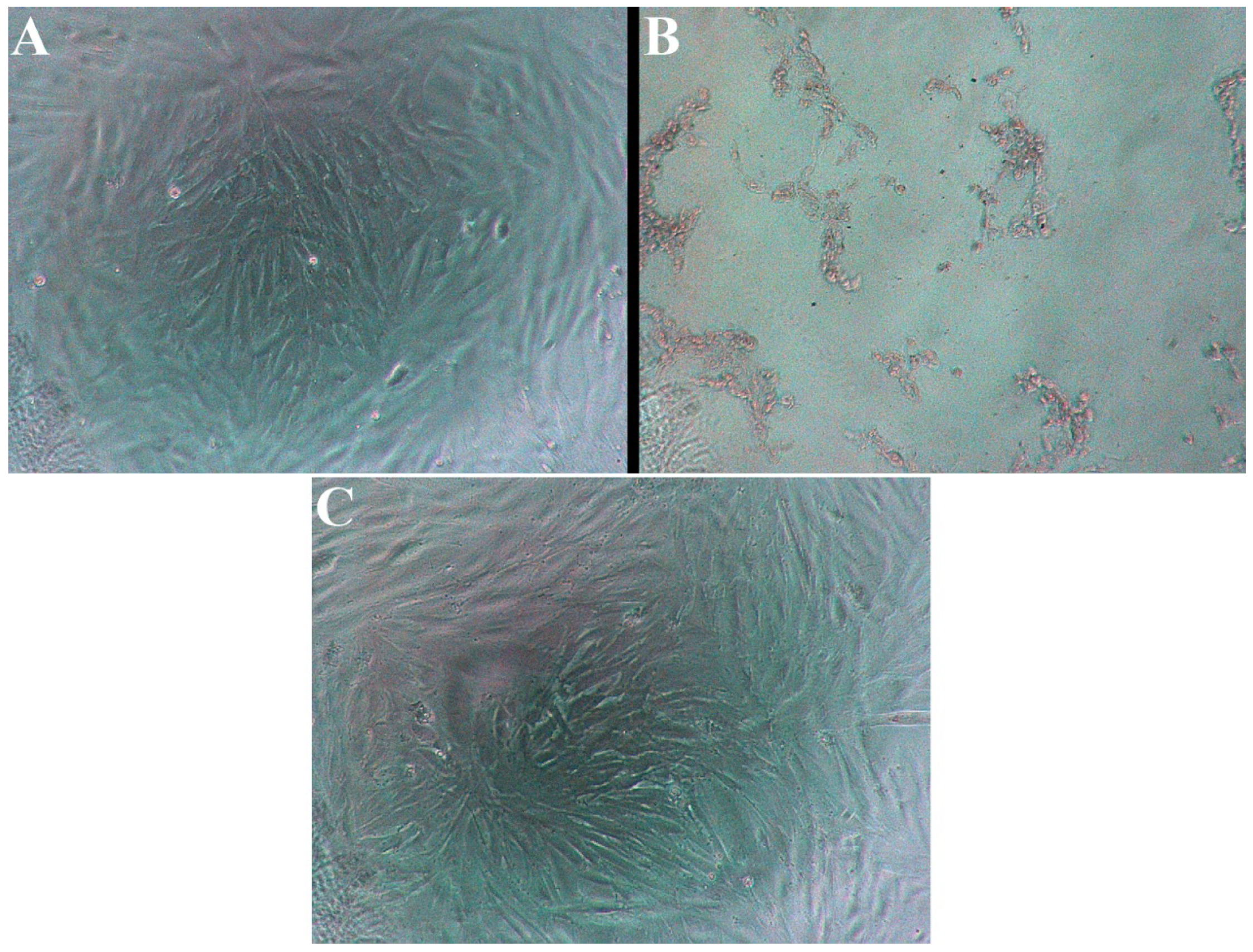 Ijerph 10 05146 g002