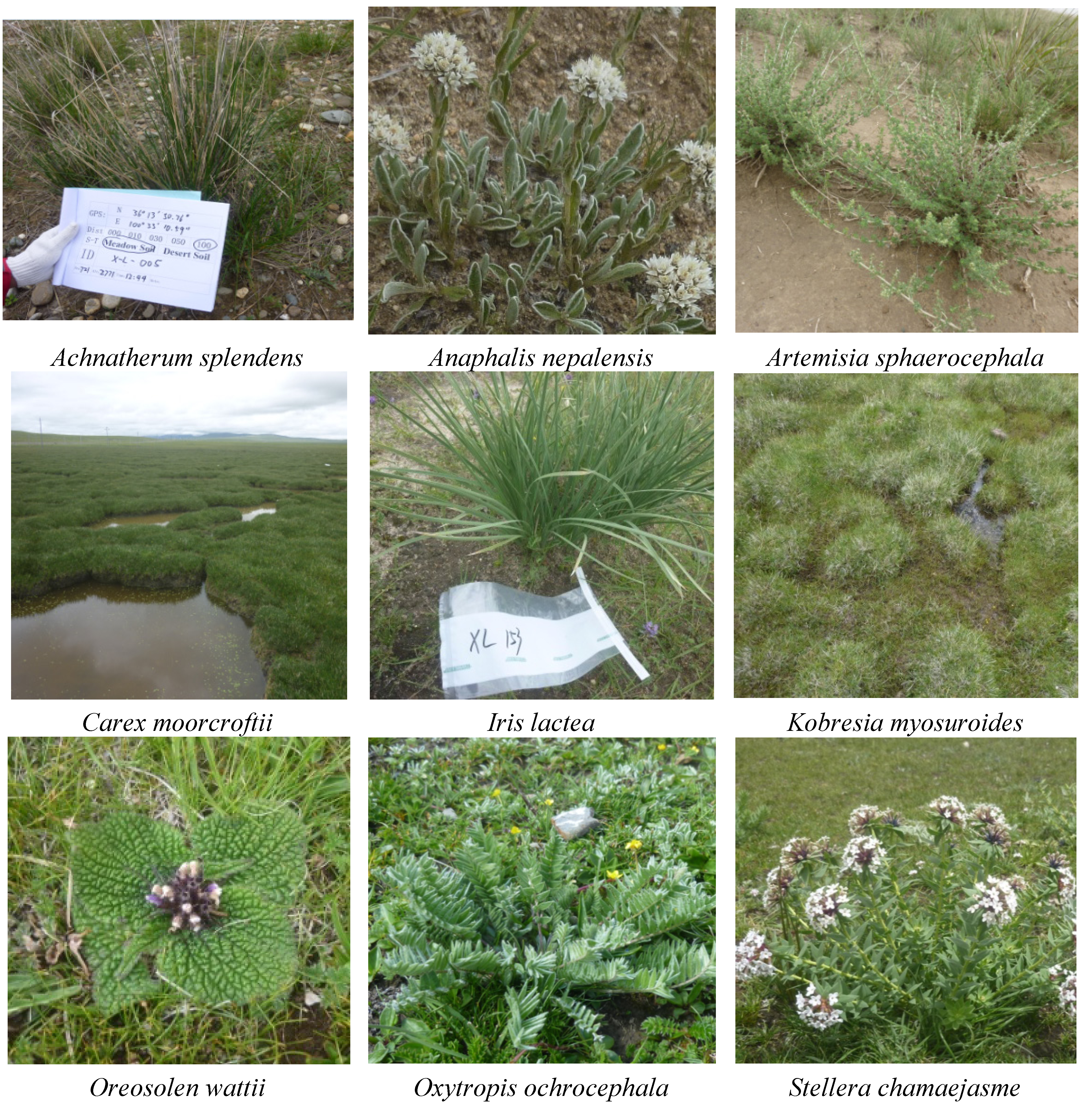 Ijerph 11 00456 g002