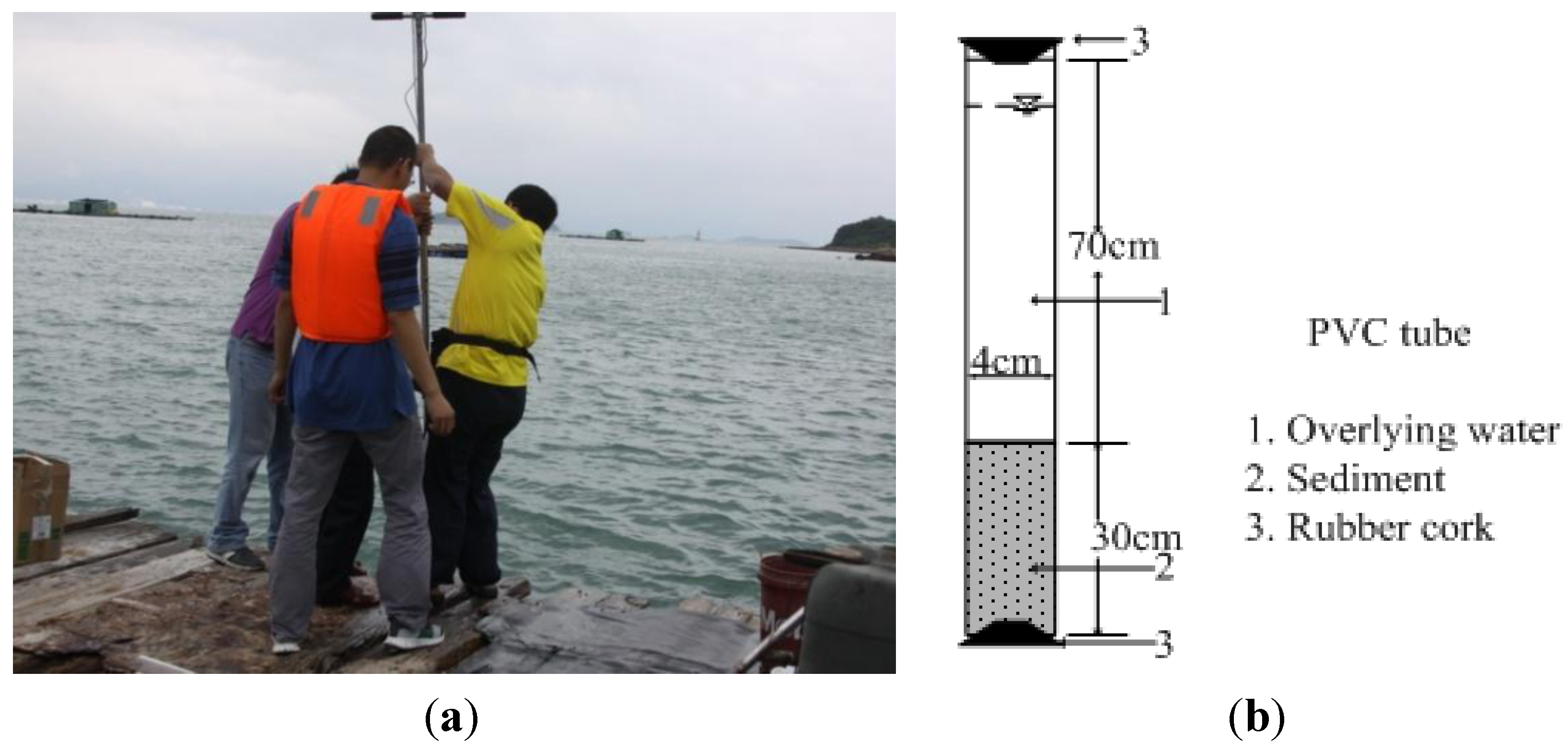 Ijerph 11 01557 g002 1024