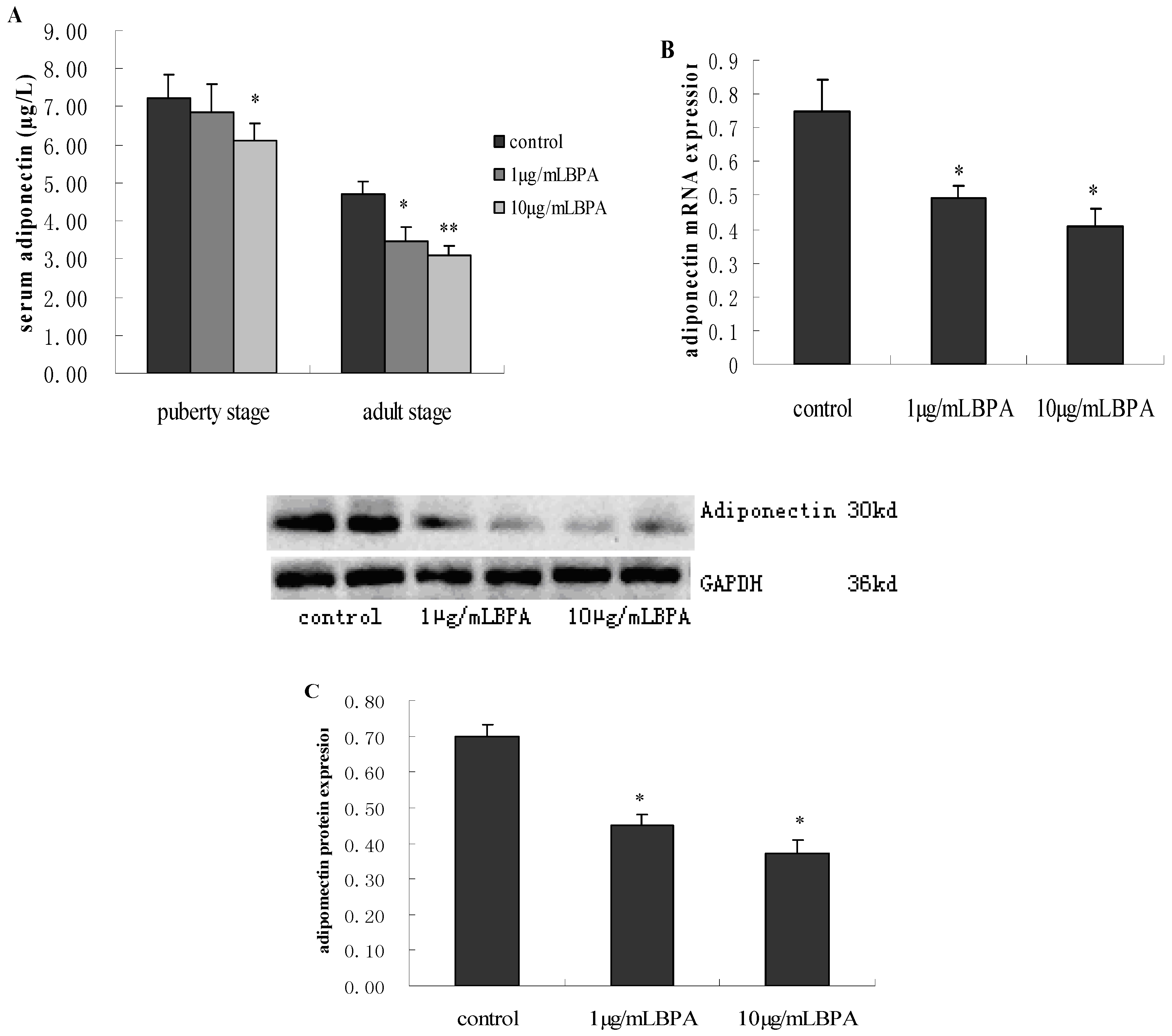 Ijerph 11 03728 g003 1024
