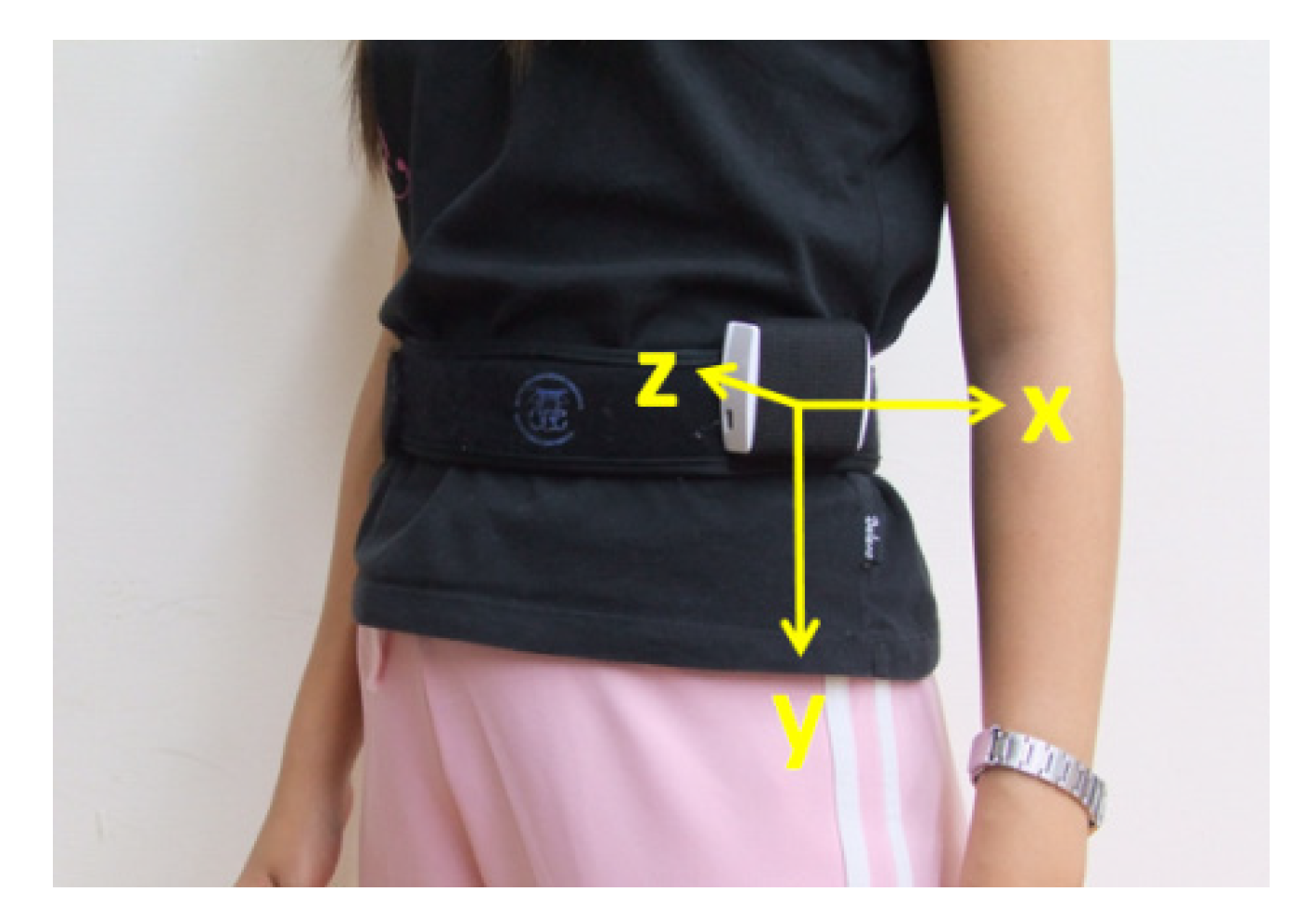 Ijerph 11 04233 g003 1024