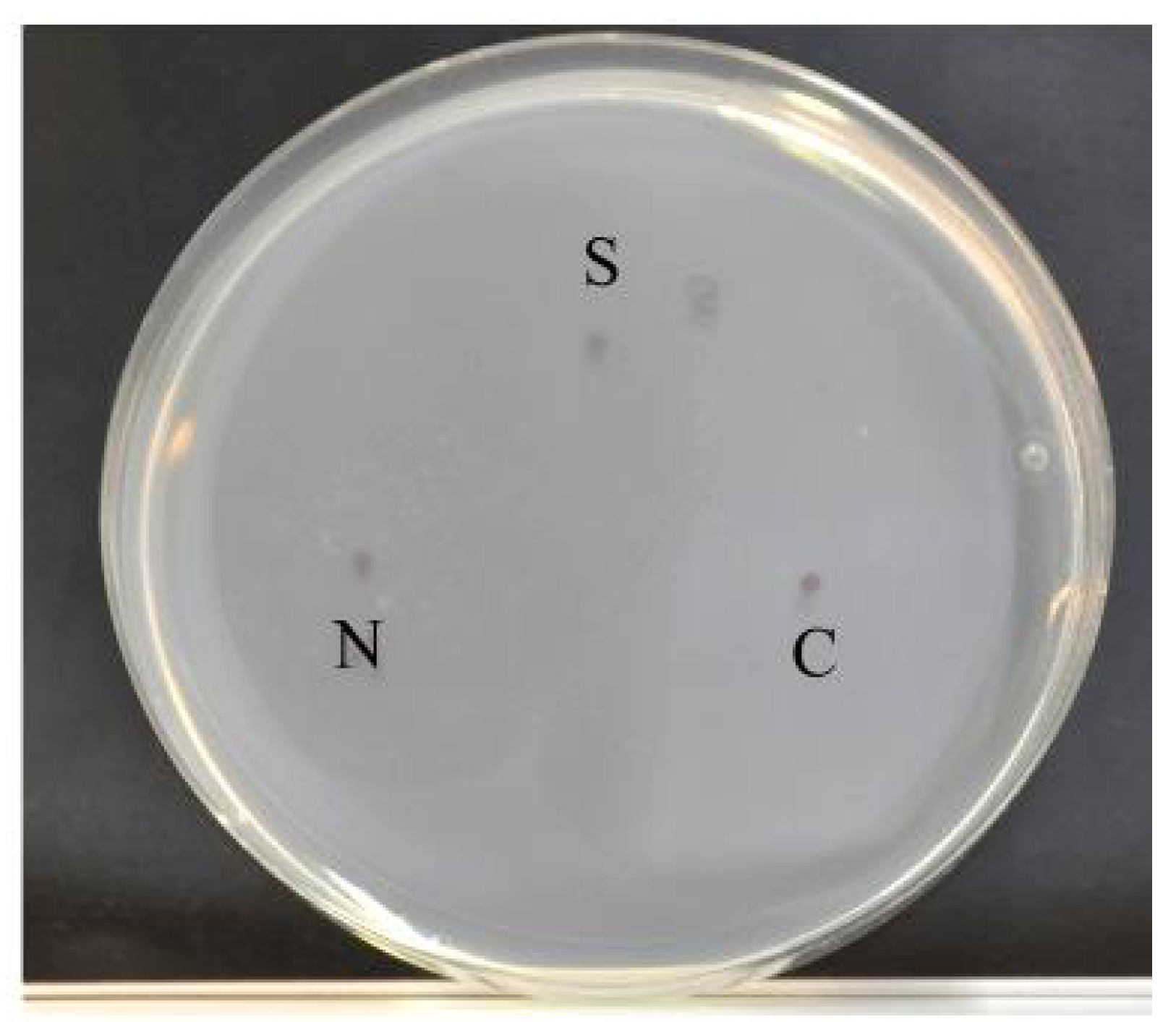 Ijerph 11 04589 g002 1024