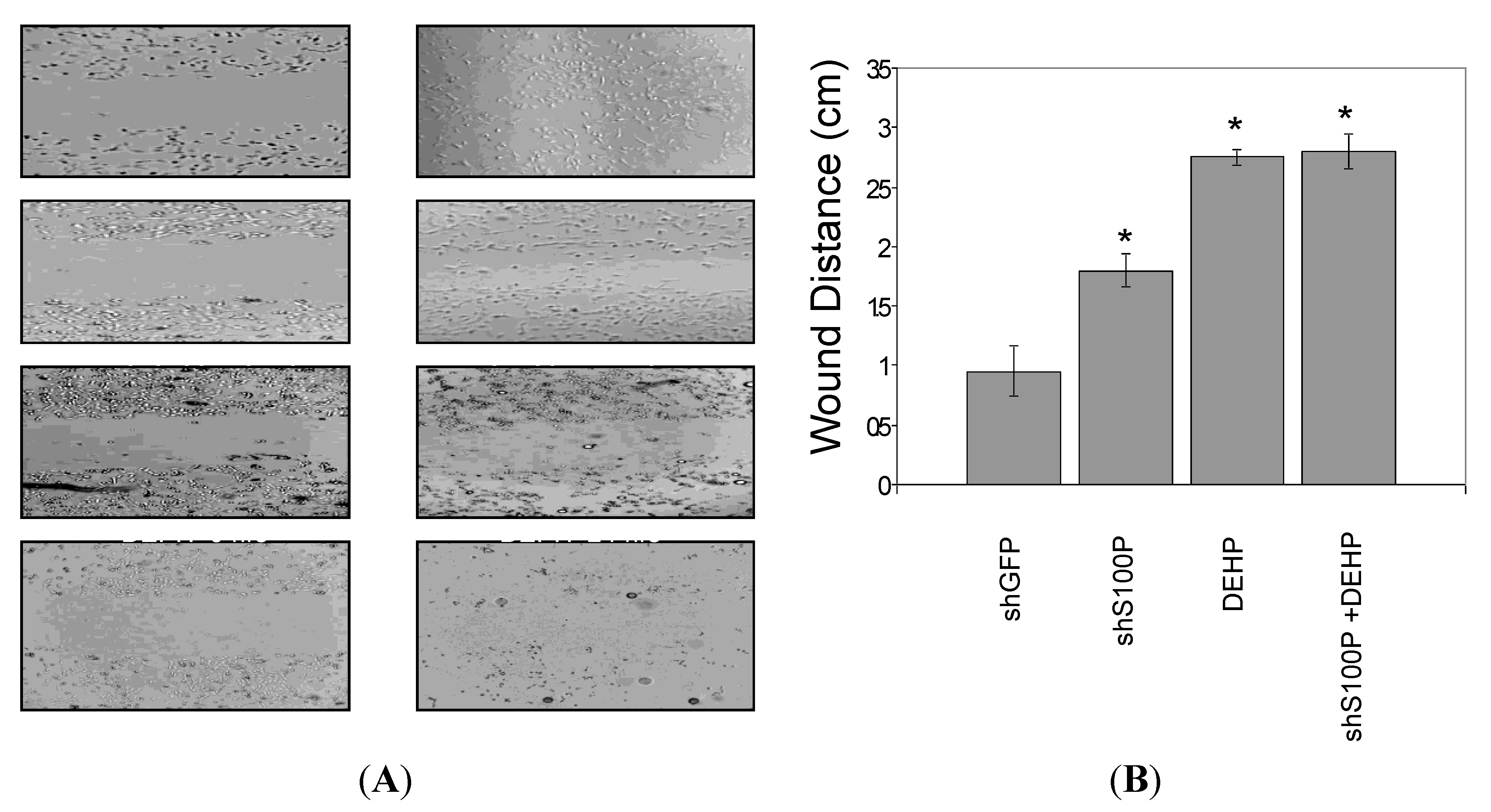 Ijerph 11 05006 g005 1024