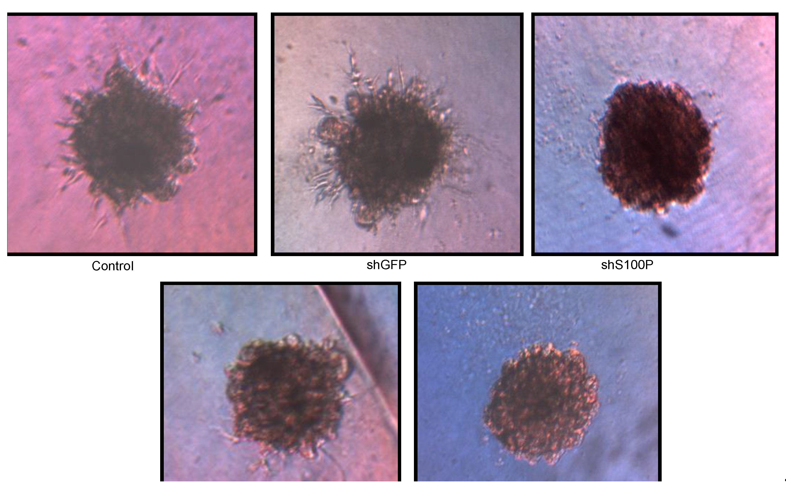 Ijerph 11 05006 g006 1024