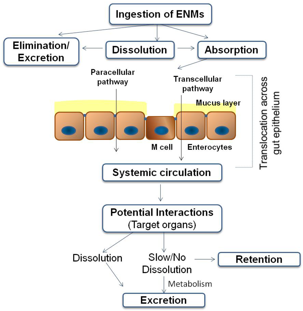 Engineered Nanomaterials in Food: Implications for Food