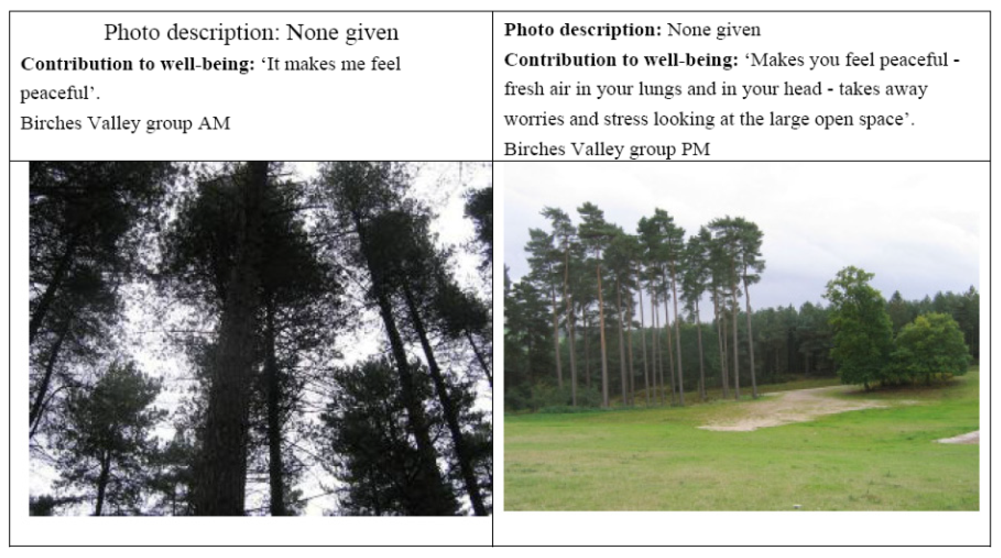 Ijerph 11 06171 g004 1024