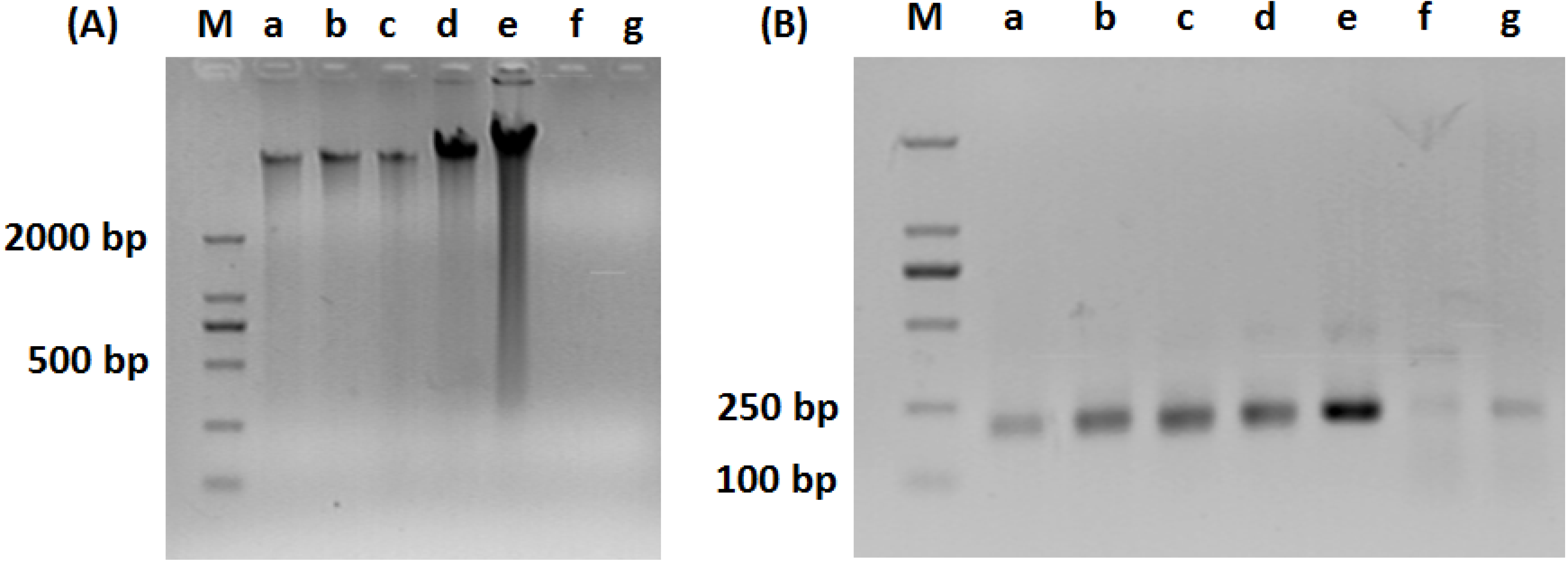 Ijerph 11 06281 g001 1024