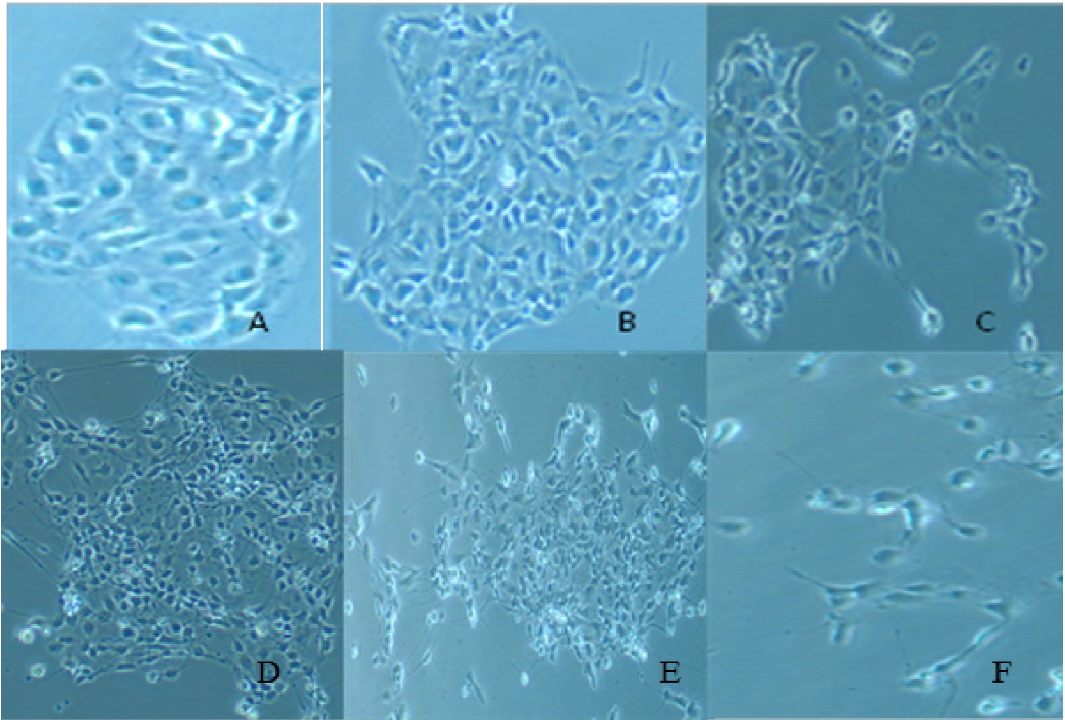 Ijerph 11 07524 g001