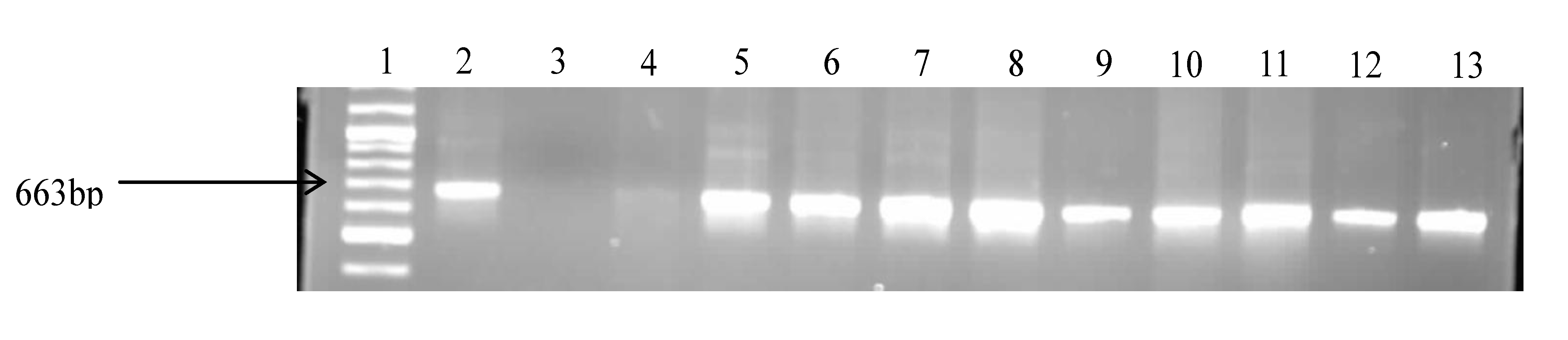 Ijerph 11 07755 g002 1024