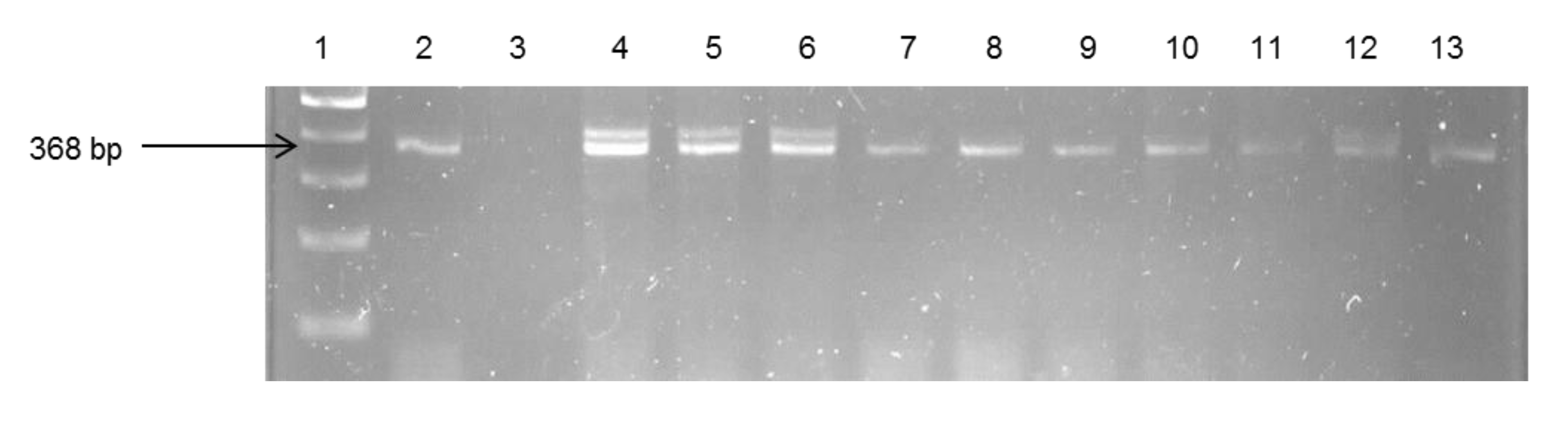 Ijerph 11 07755 g003 1024