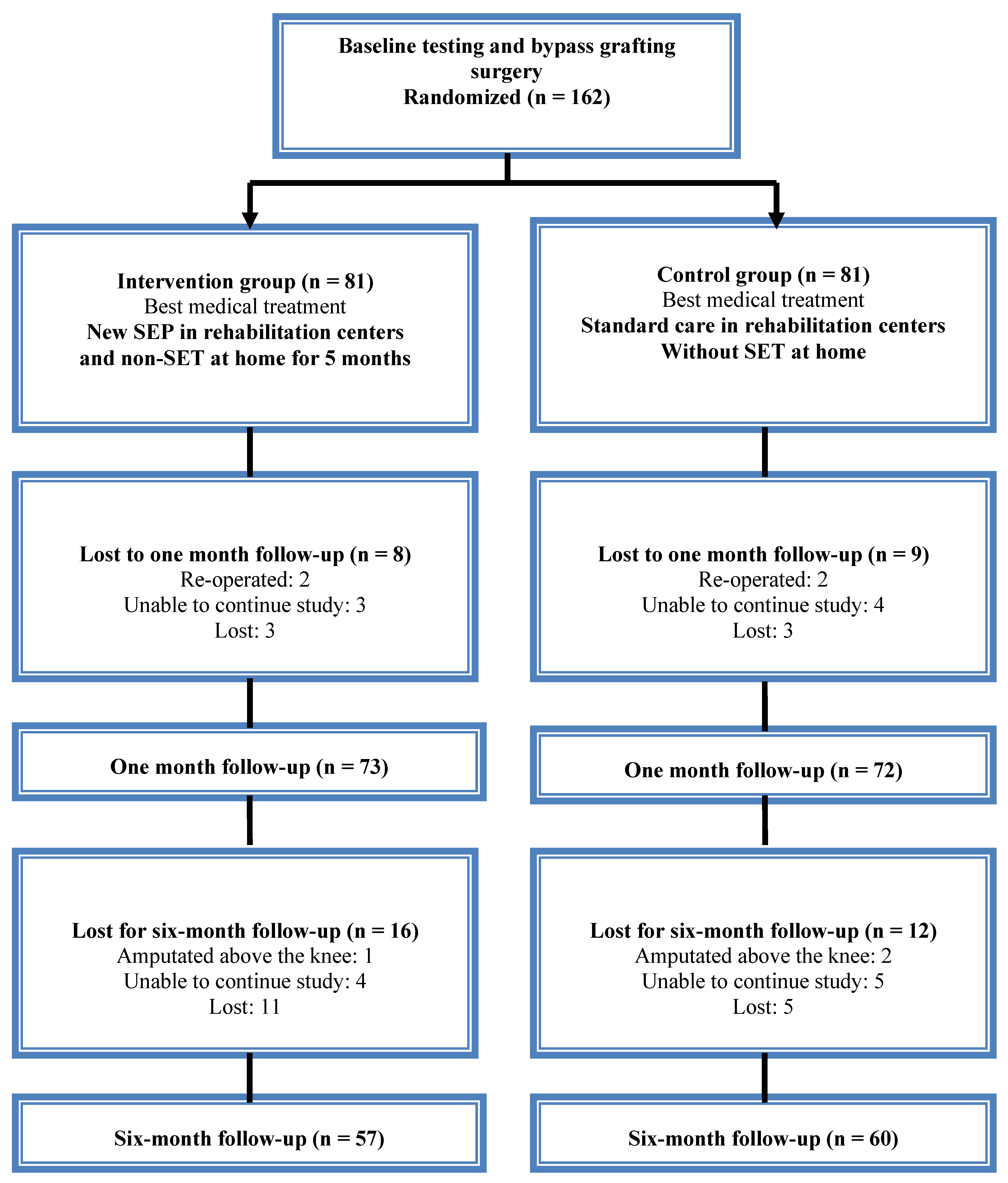 Lower Limb Blood Supply Flow Chart