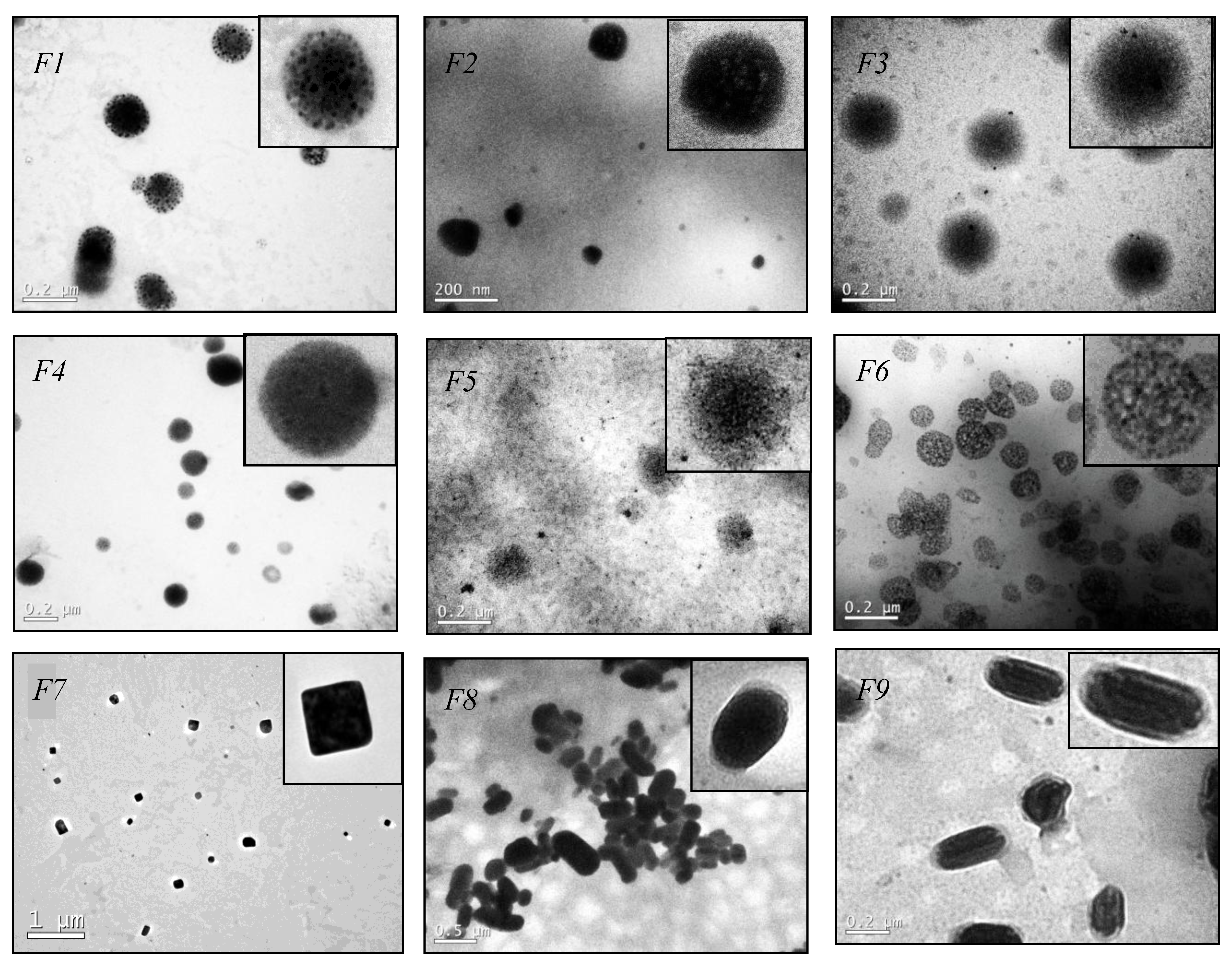 Ijerph 11 08581 g001 1024