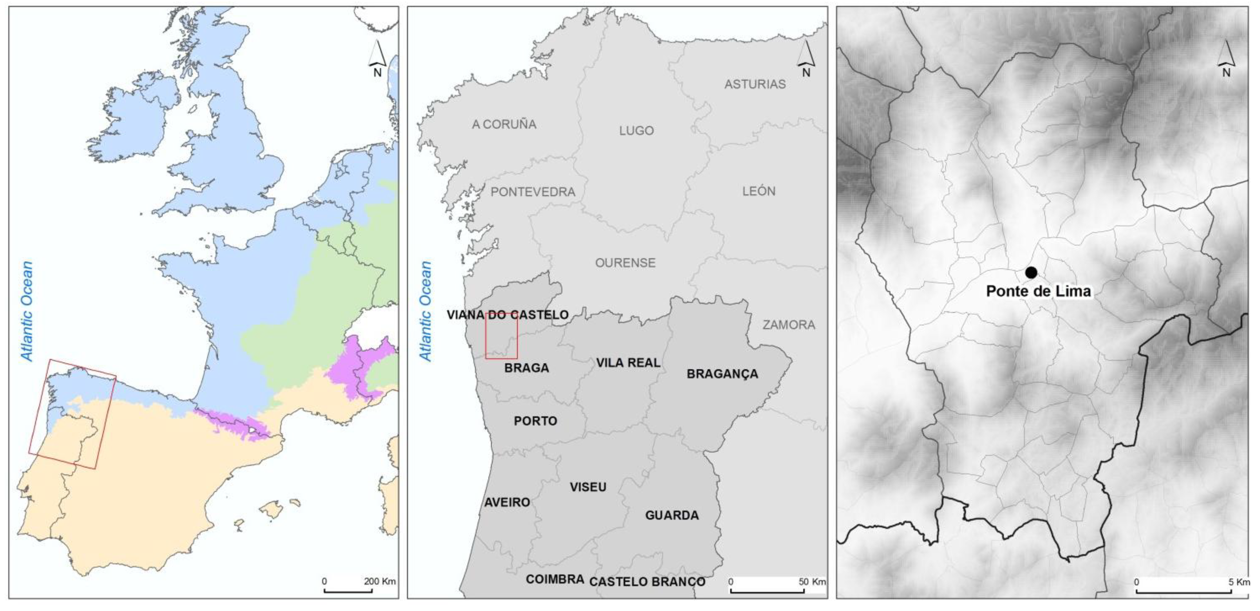 Ijerph 11 09050 g001 1024