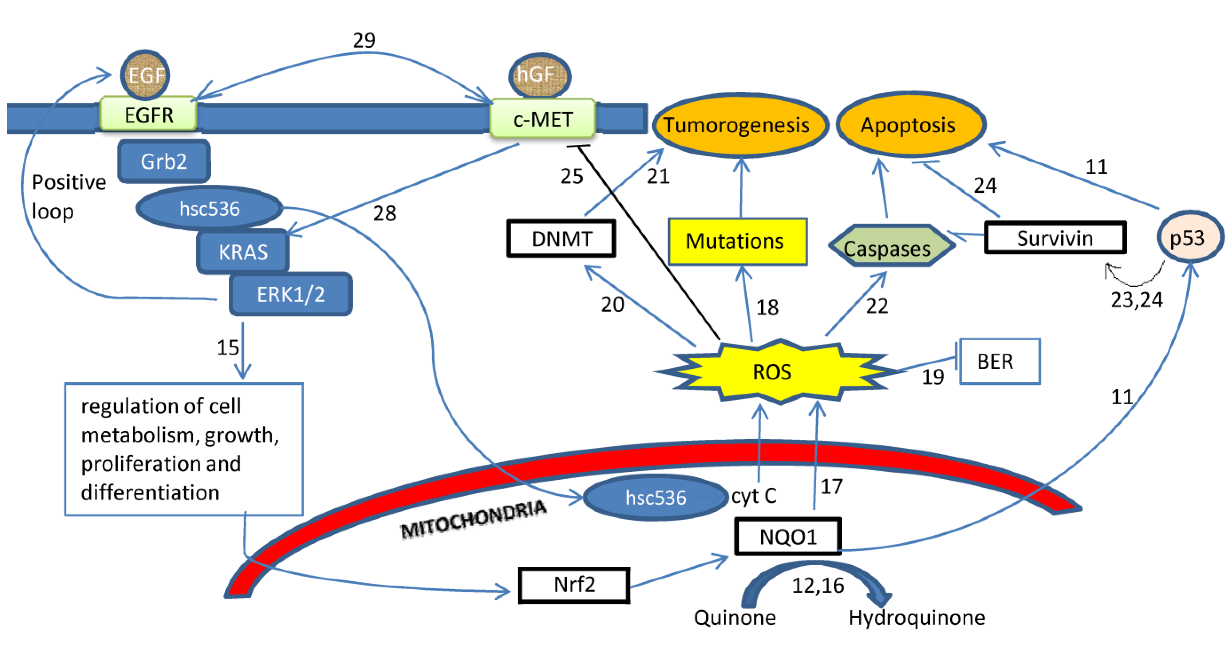 Ijerph 11 09491 g001