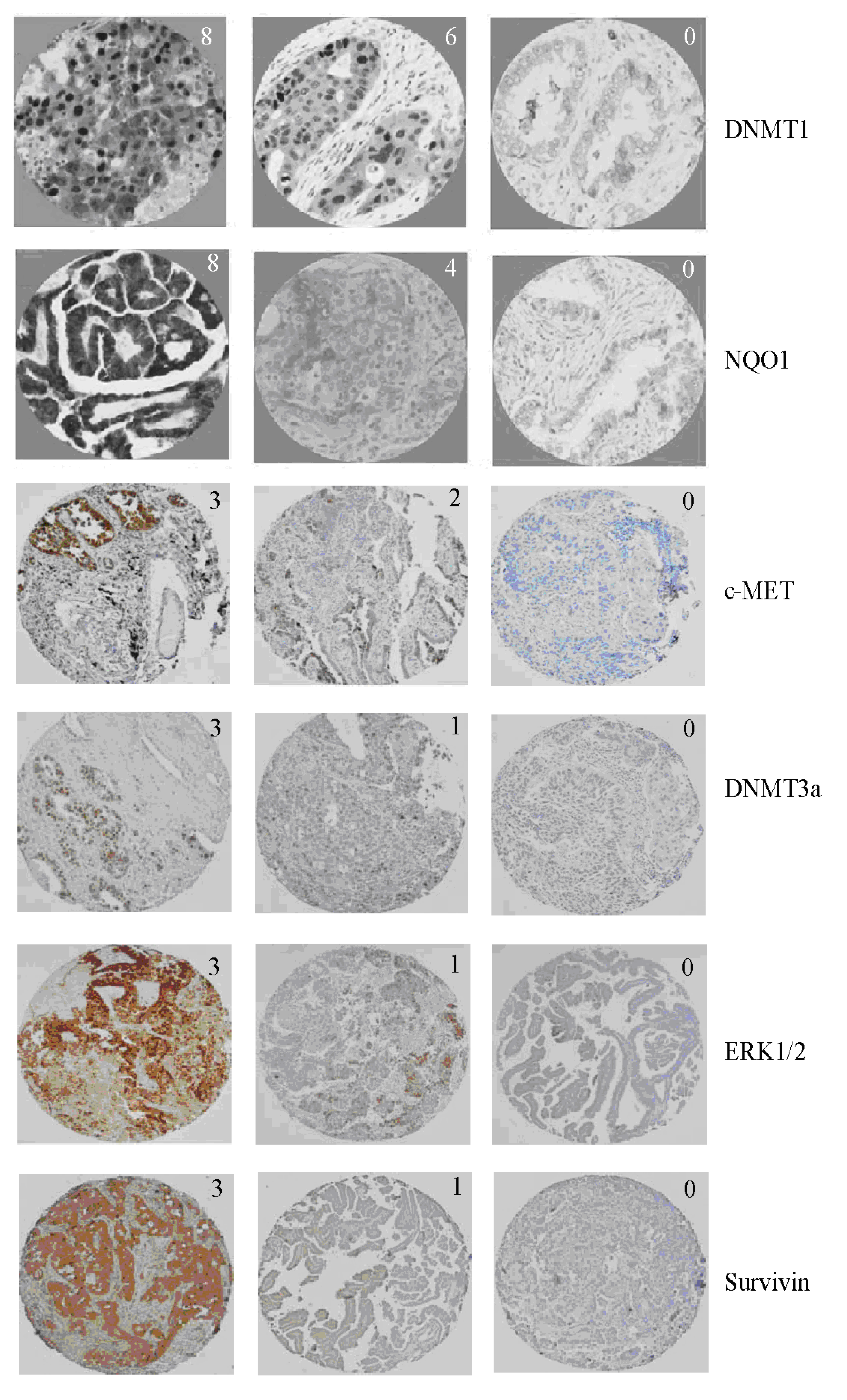 Ijerph 11 09491 g002