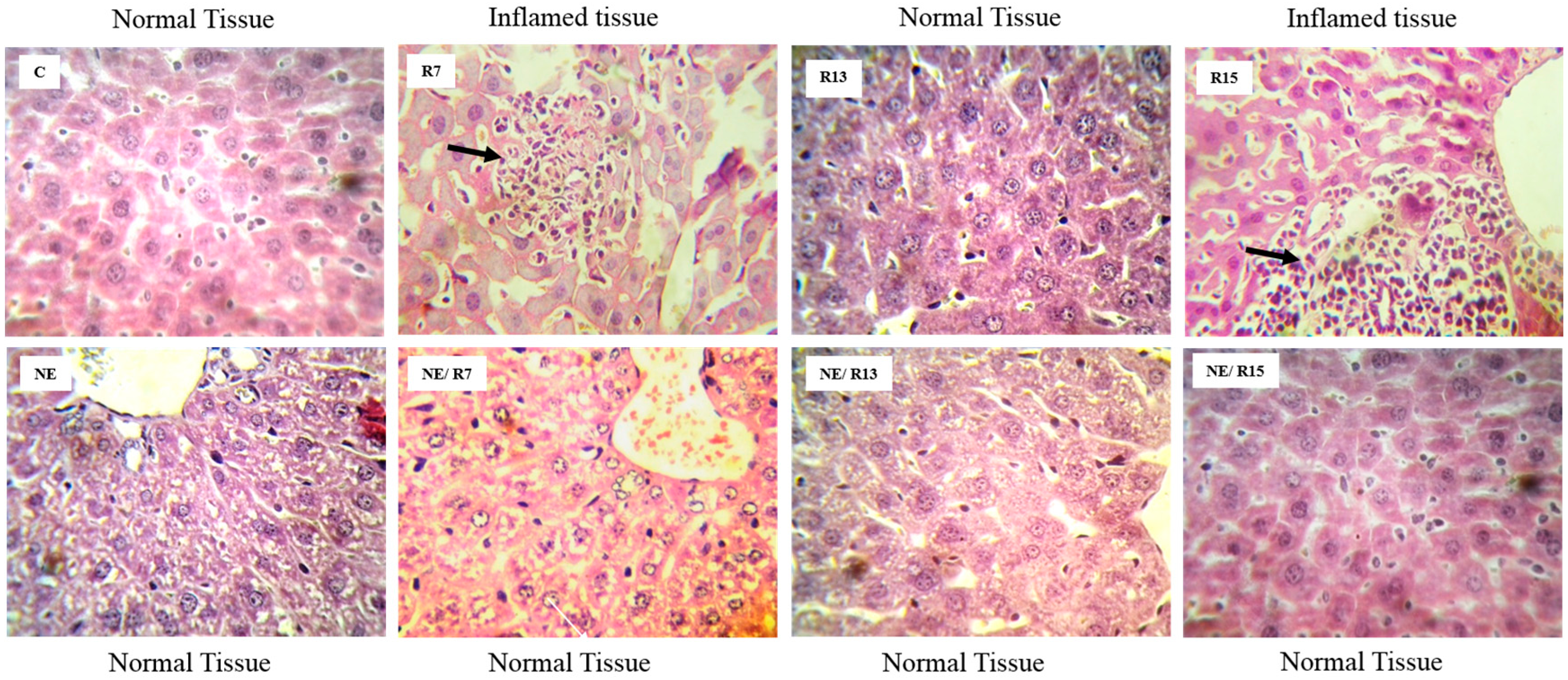 Ijerph 11 10016 g002 1024