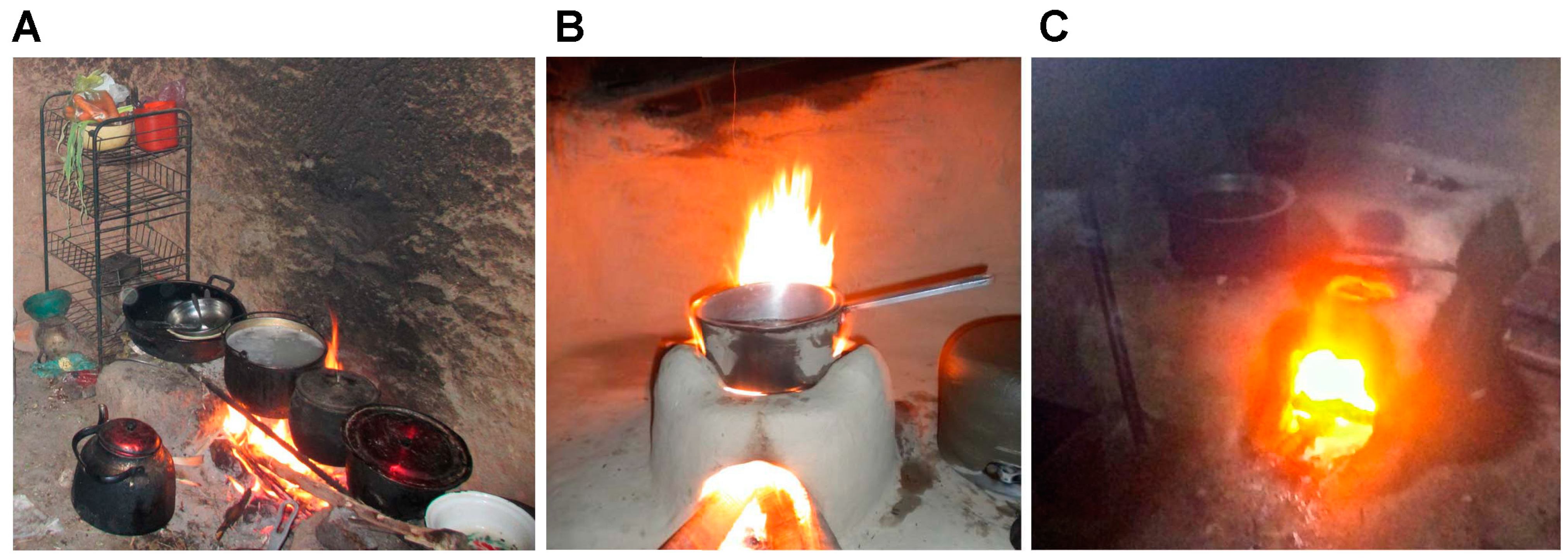 Ijerph 11 10310 g001 1024