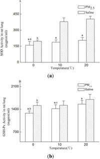 lung response to dead space