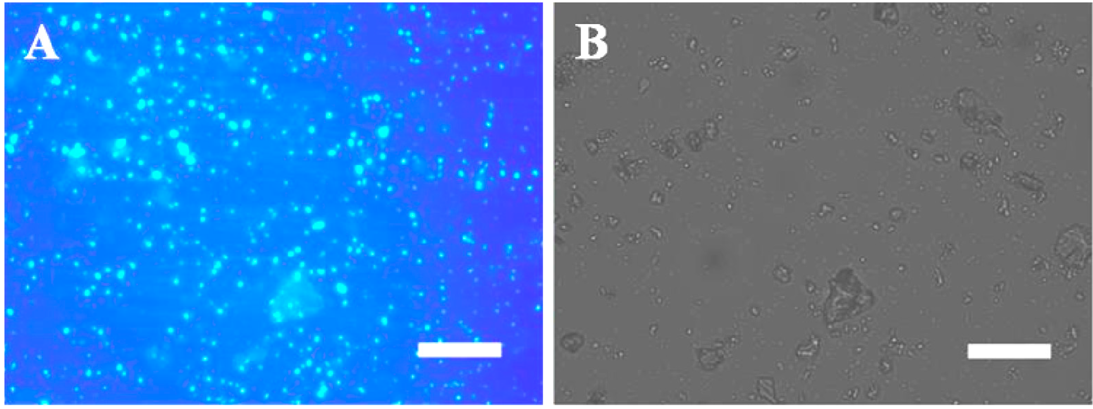 Ijerph 11 13084 g003 1024