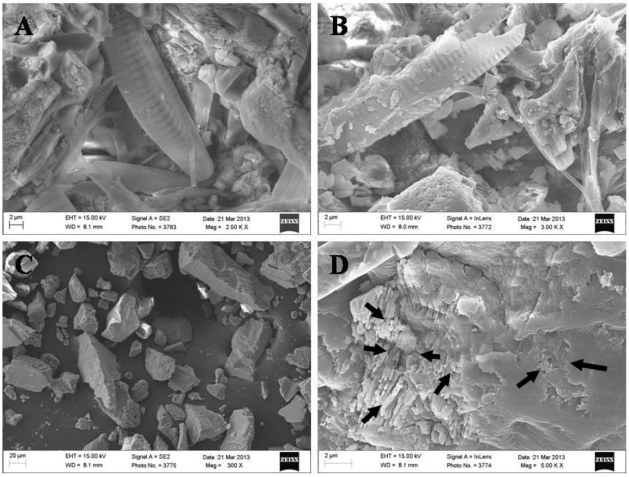 Ijerph 11 13084 g006 1024