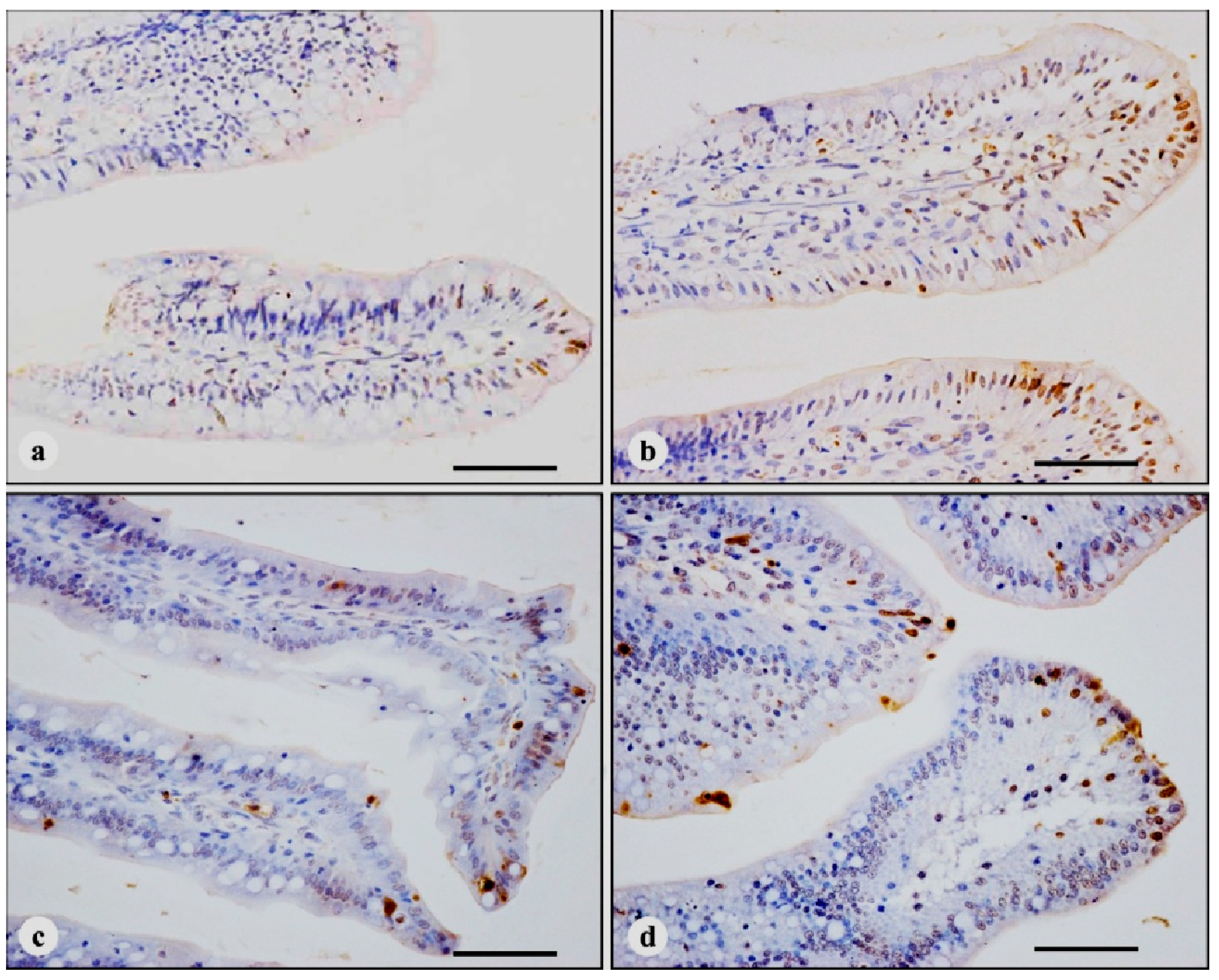 Ijerph 11 13130 g001