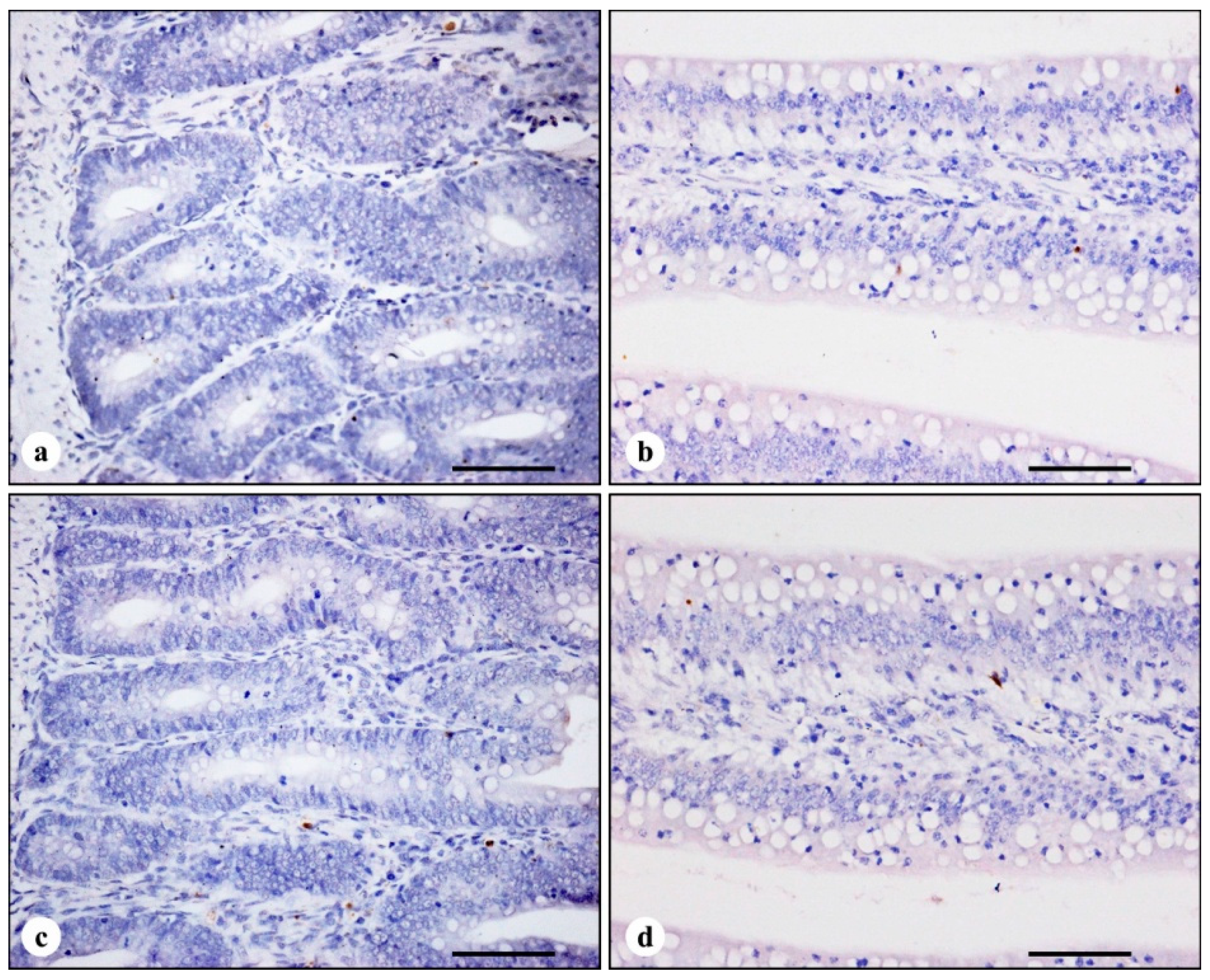 Ijerph 11 13130 g002