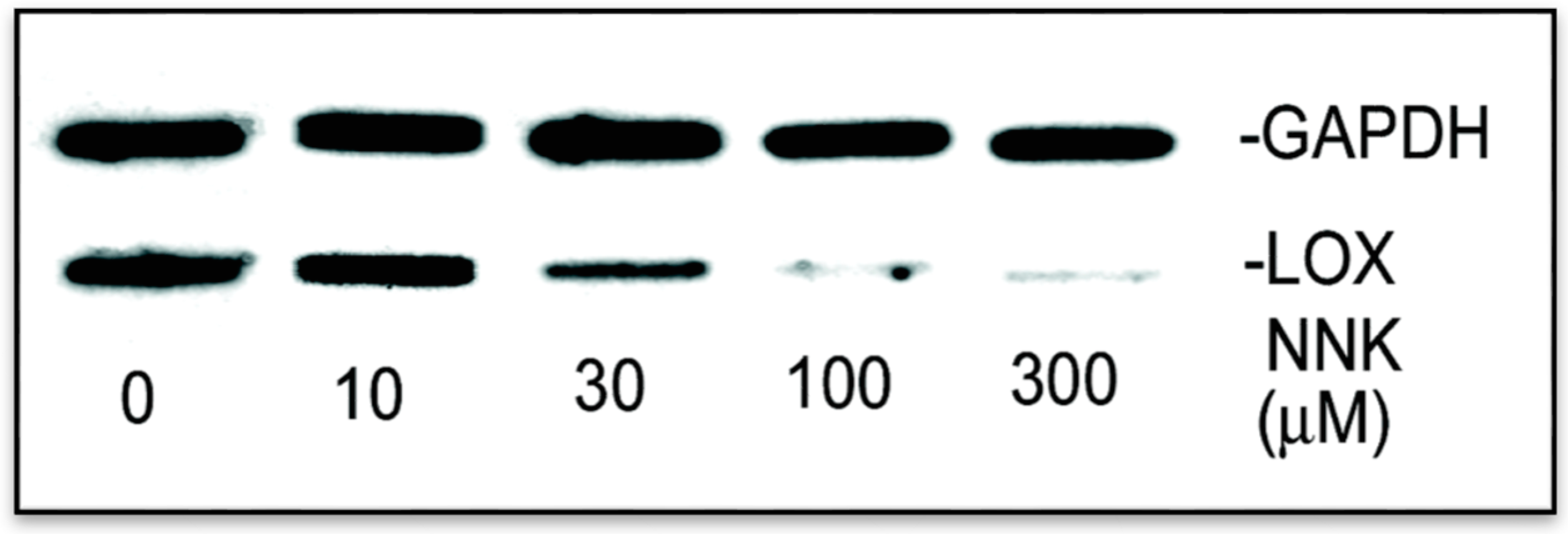 Ijerph 12 00064 g004