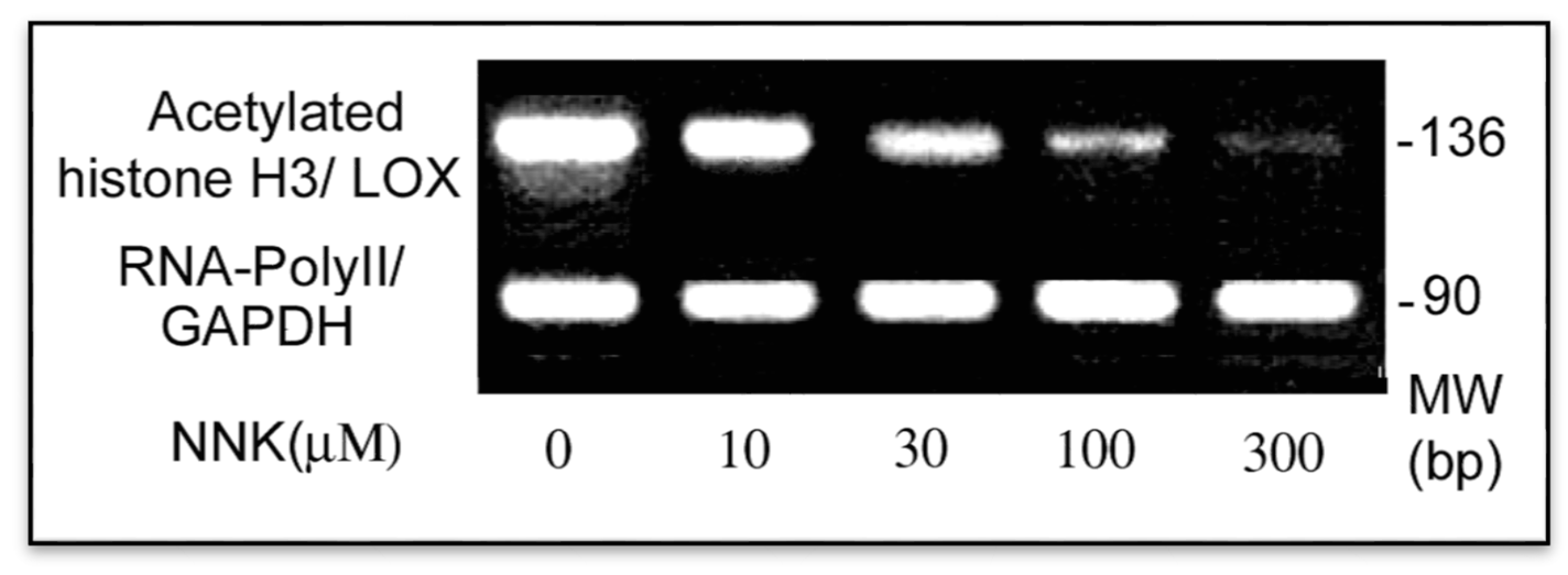 Ijerph 12 00064 g006