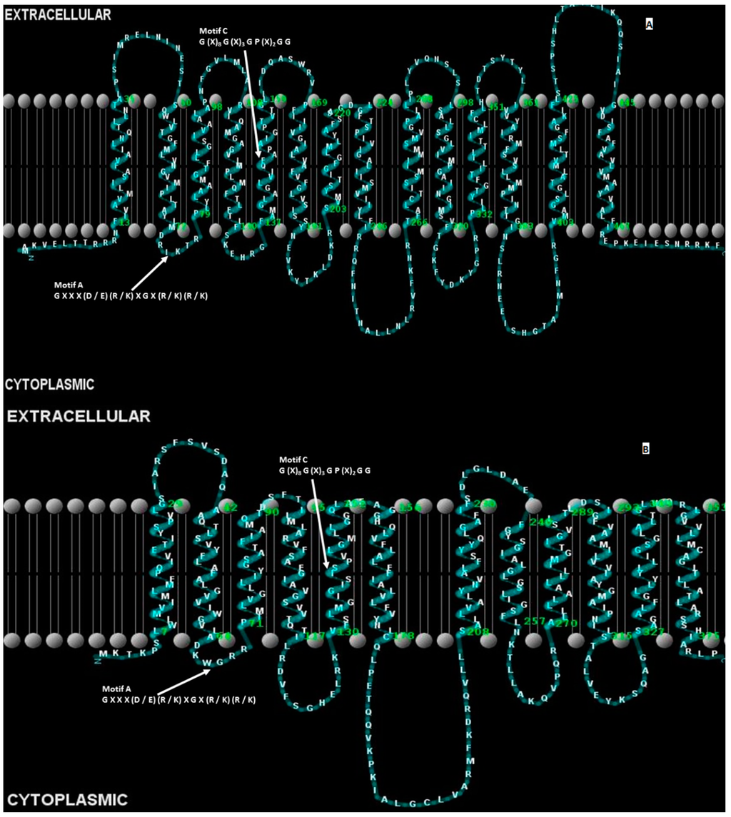 Ijerph Free Full Text Multidrug Efflux Pumps From Enterobacteriaceae Vibrio Cholerae And Staphylococcus Aureus Bacterial Food Pathogens Html