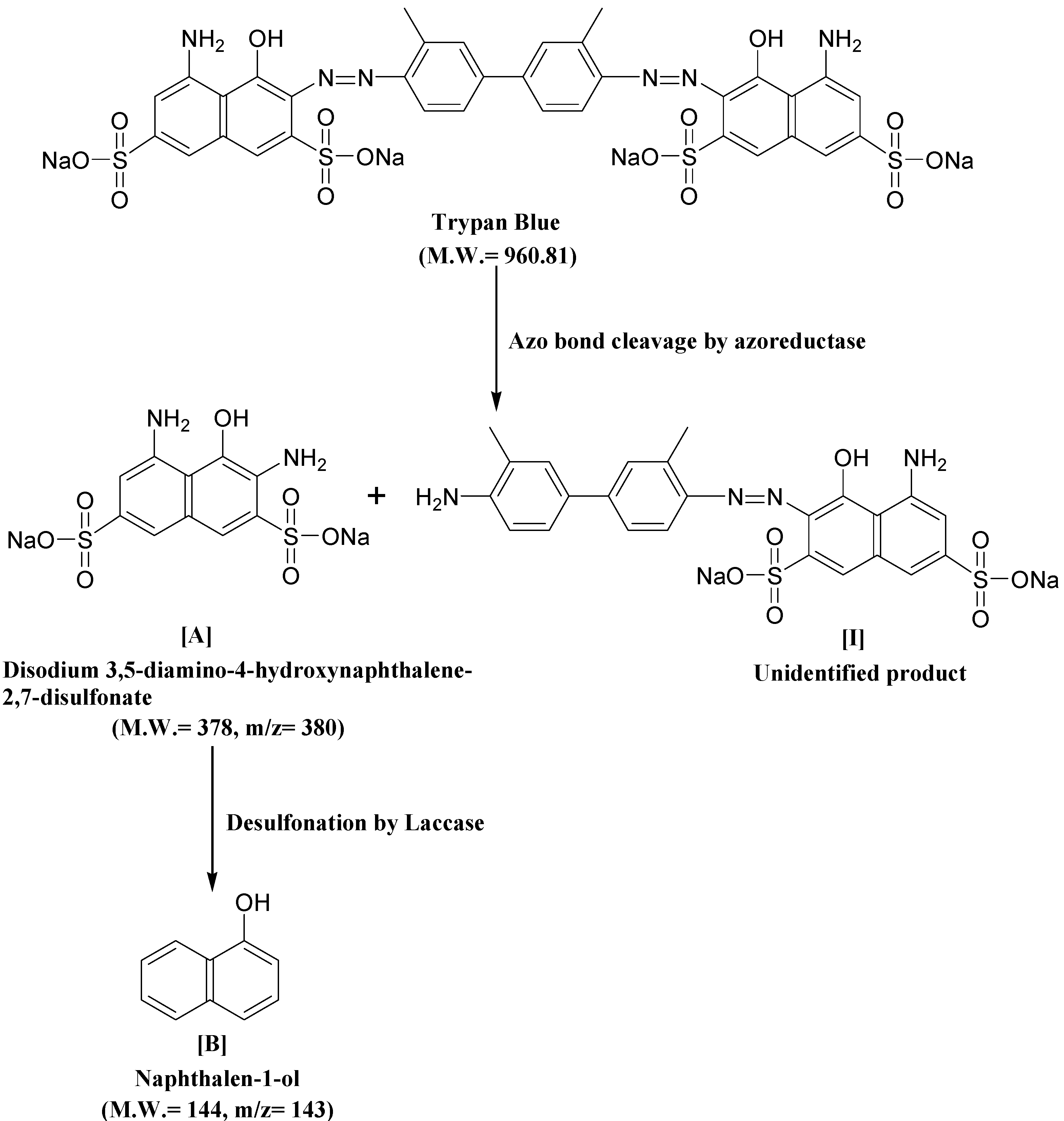 Ijerph 12 03480 g008
