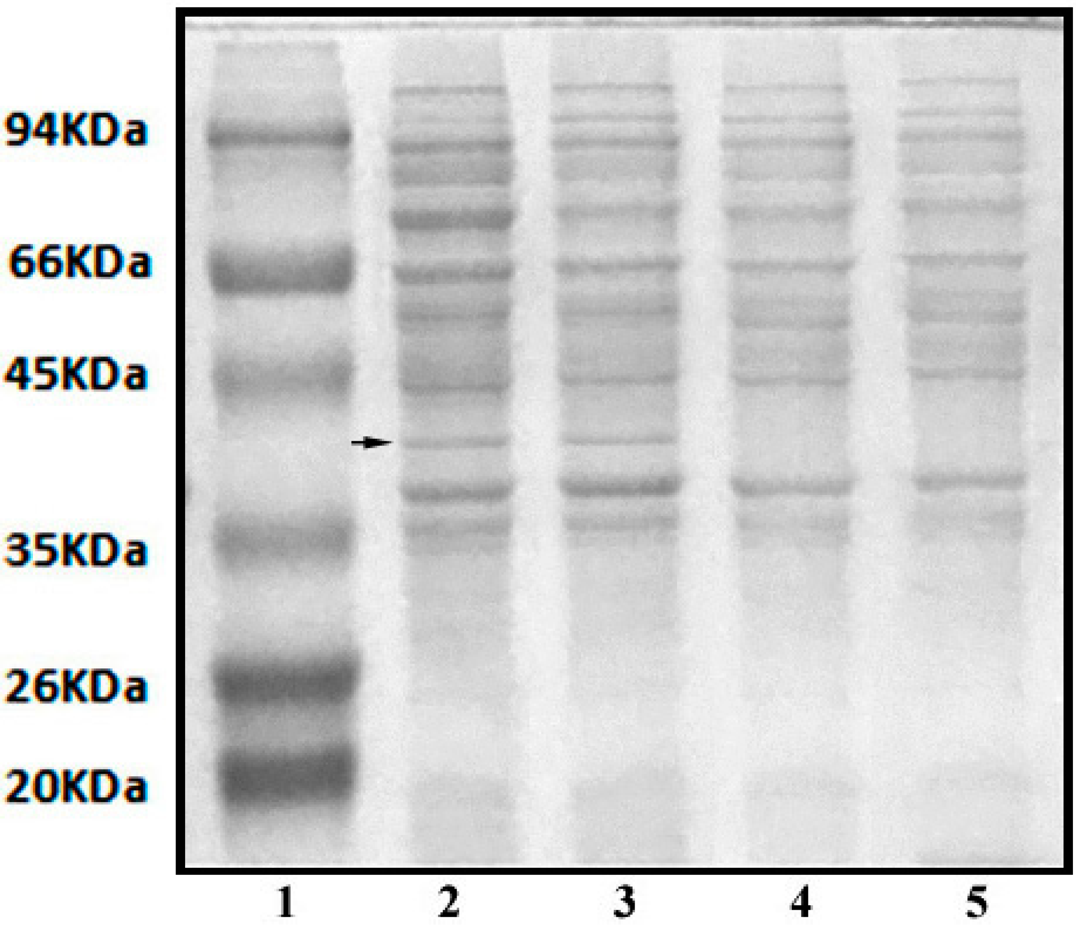 Ijerph 12 04214 g008