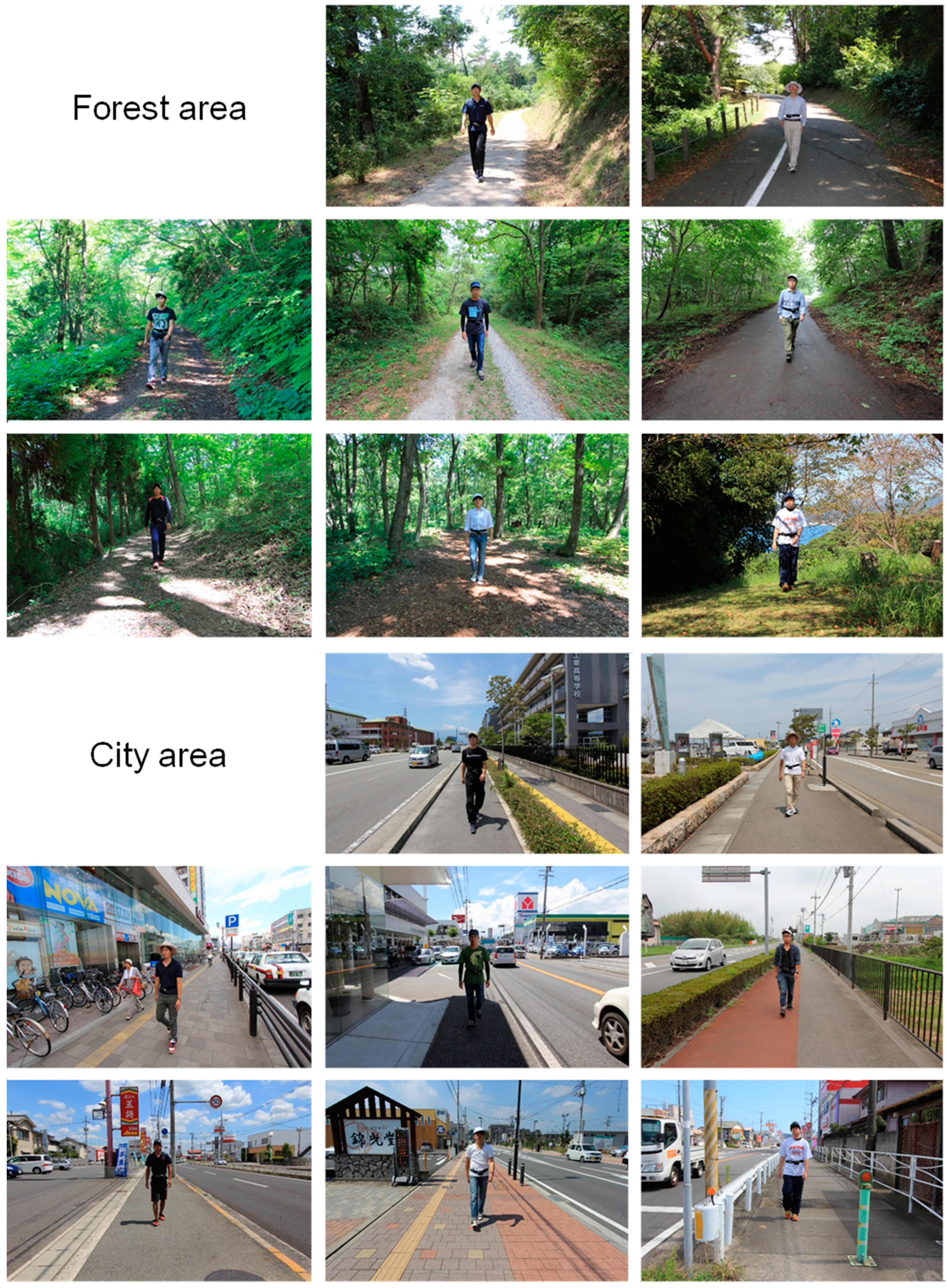 Ijerph 12 04247 g001 1024